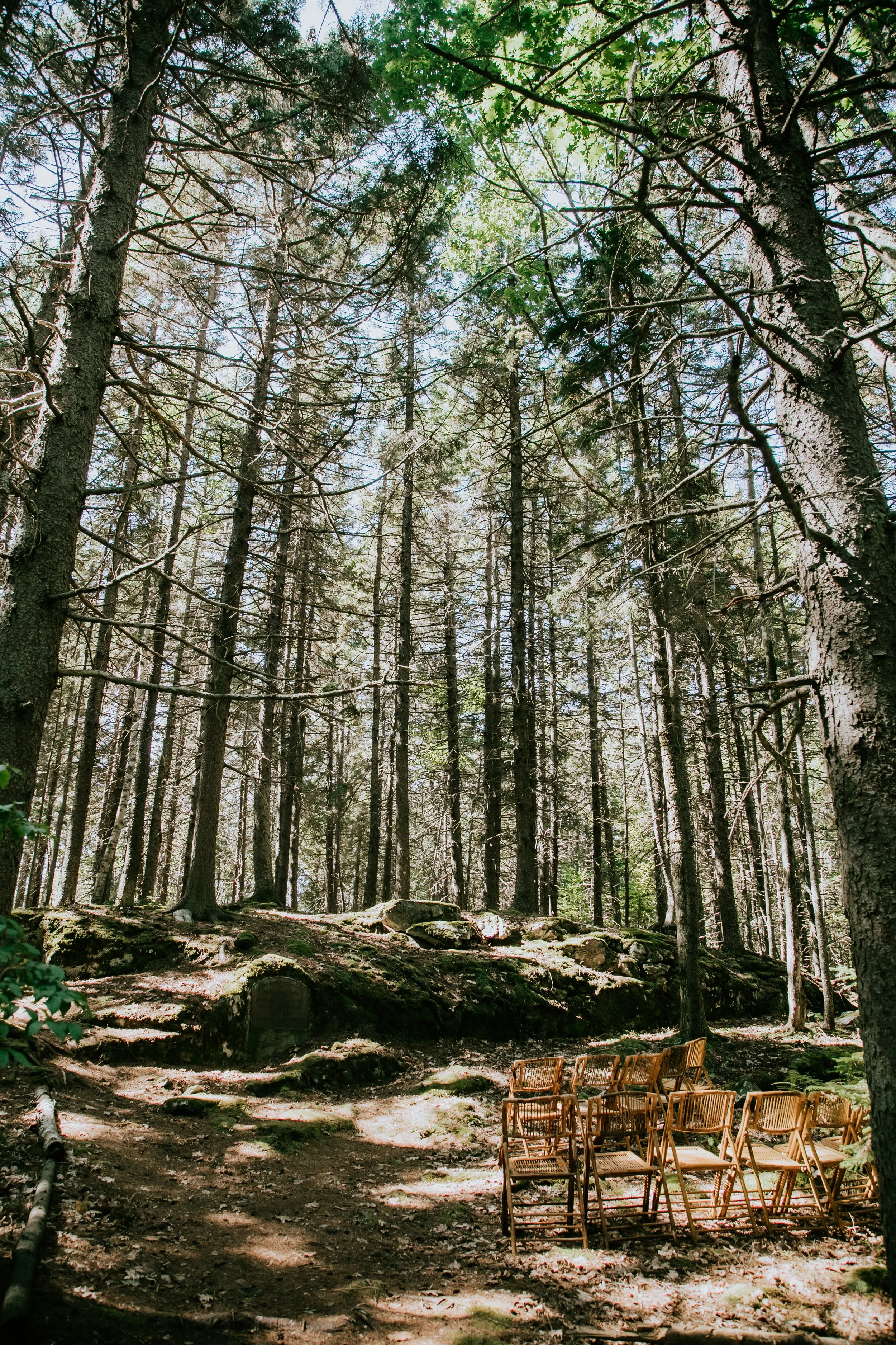 Maine Wedding Rentals A Family Affair (32).jpg