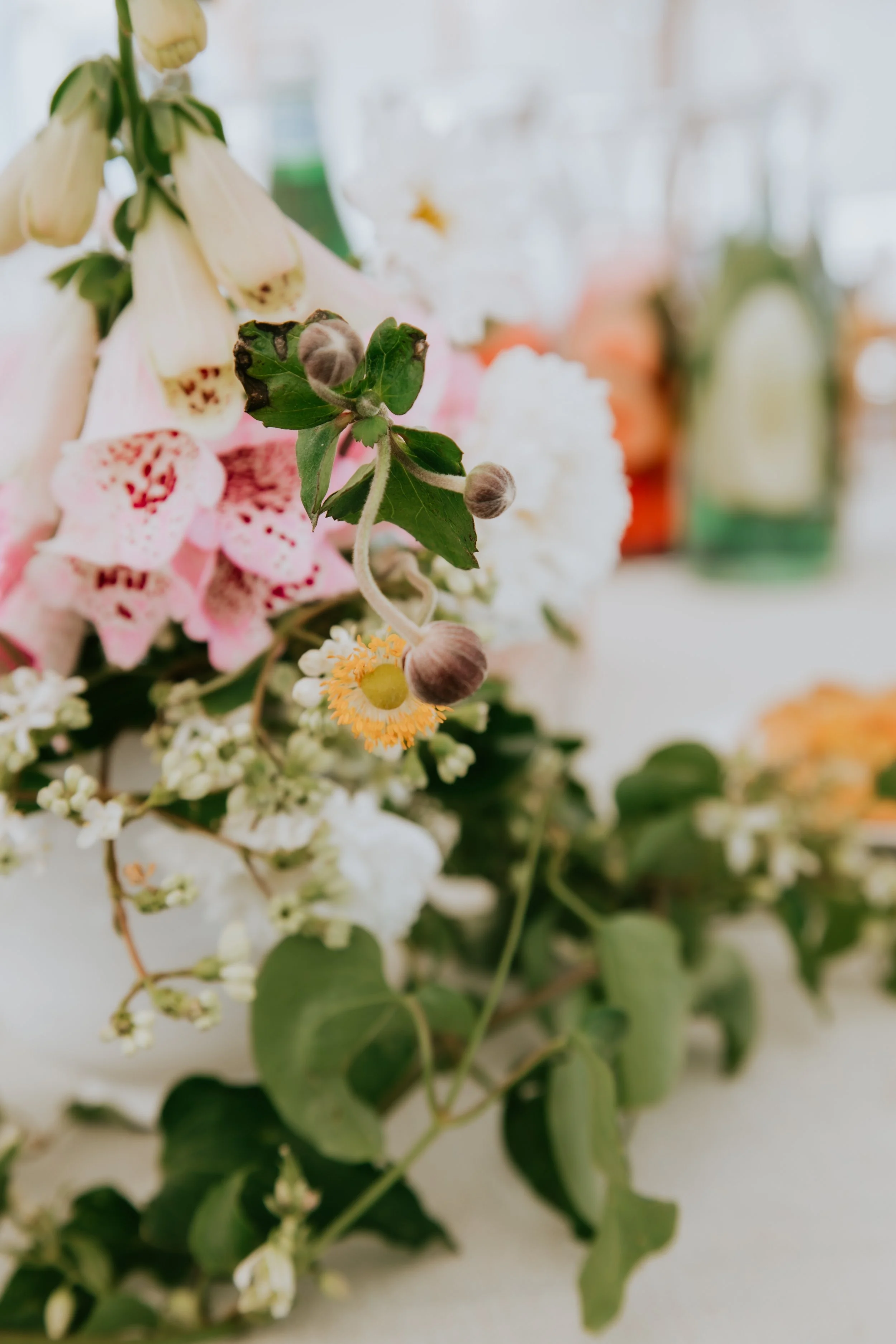 Maine Wedding Rentals A Family Affair (36).jpg