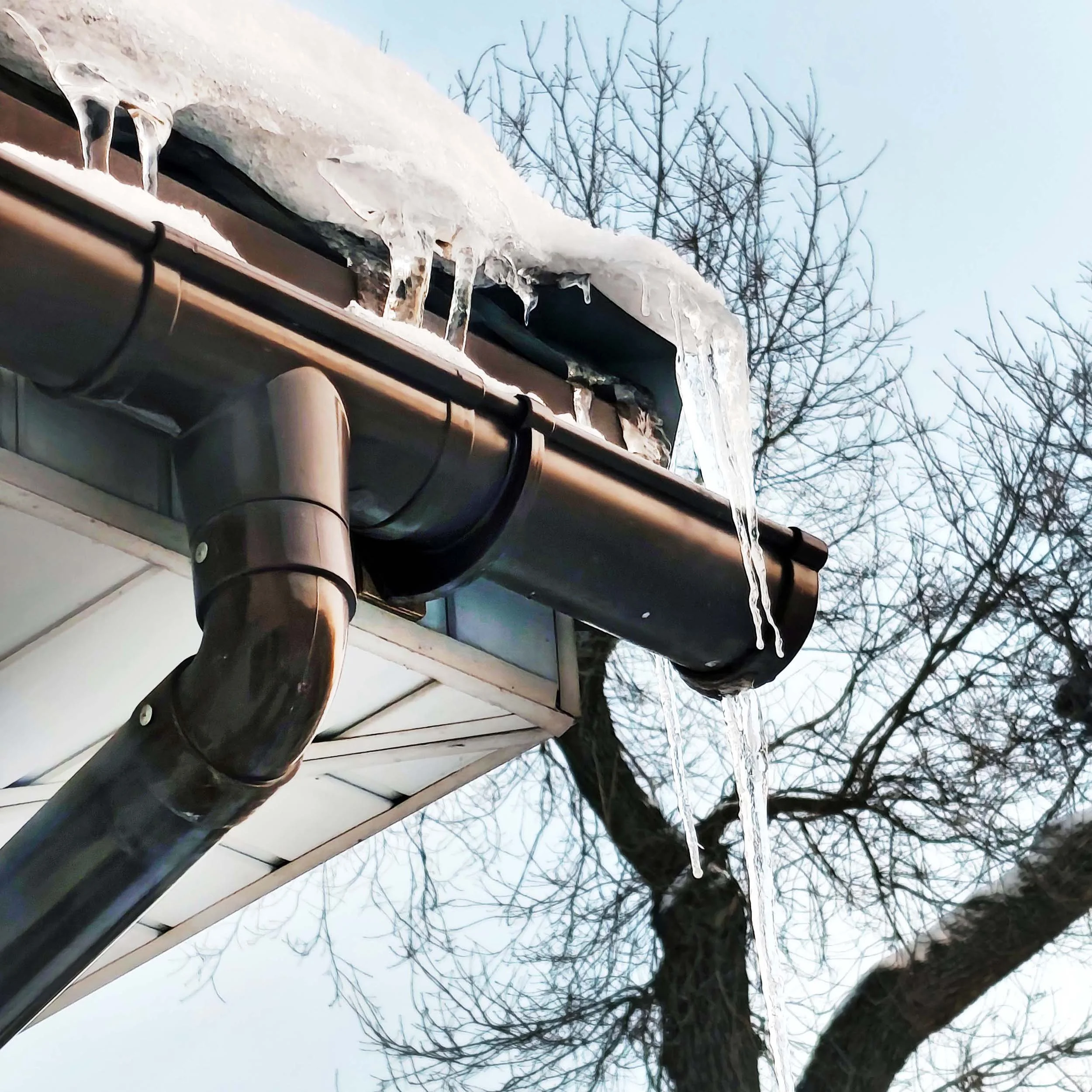 Icicles hanging from the roof of a house with a brown gutter and downspout, and leafless trees in the background.