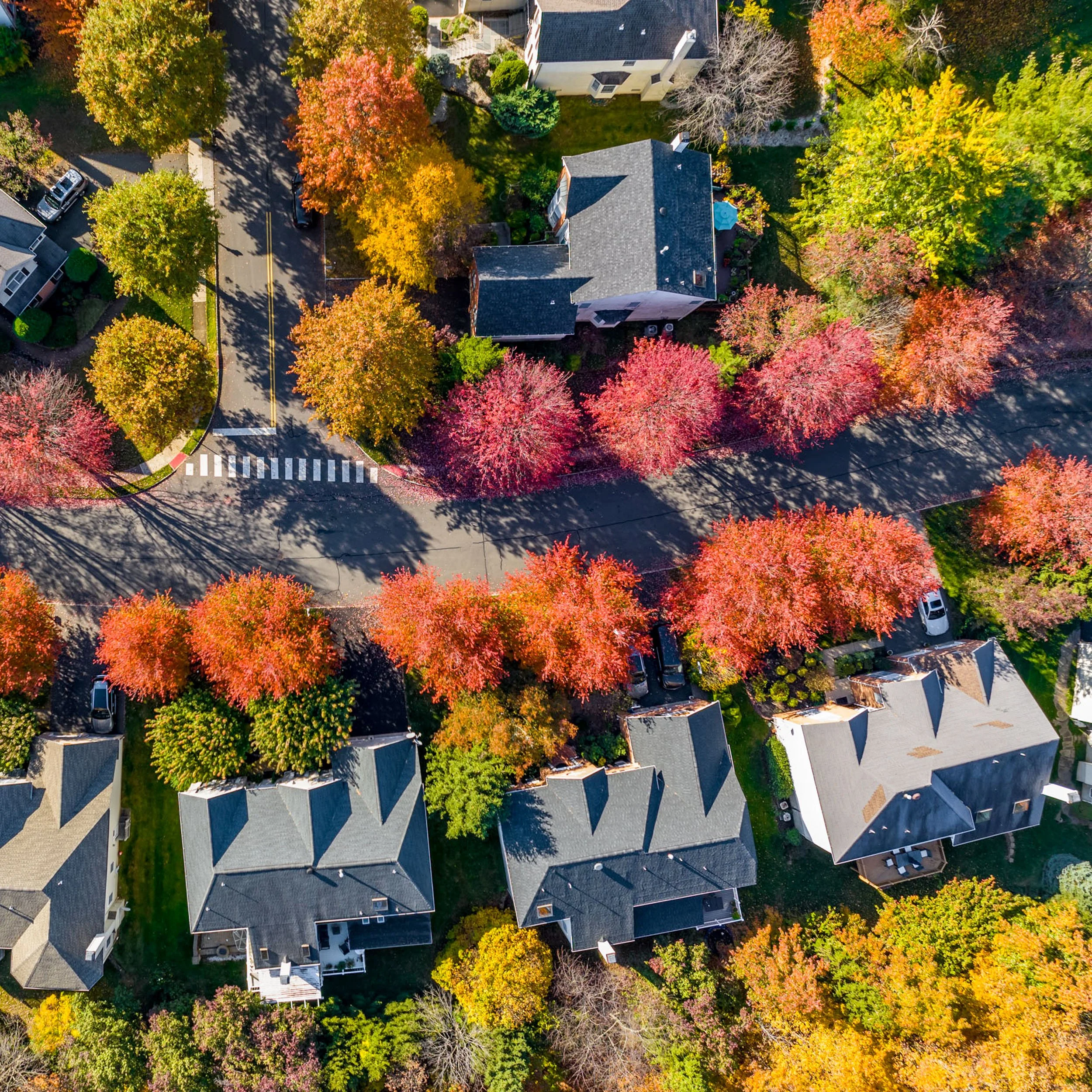 20250722-4seasonshome-rockville-certified-local-roofing-contractor-boosts-curb-appeal-autumn-2500x2500.jpg