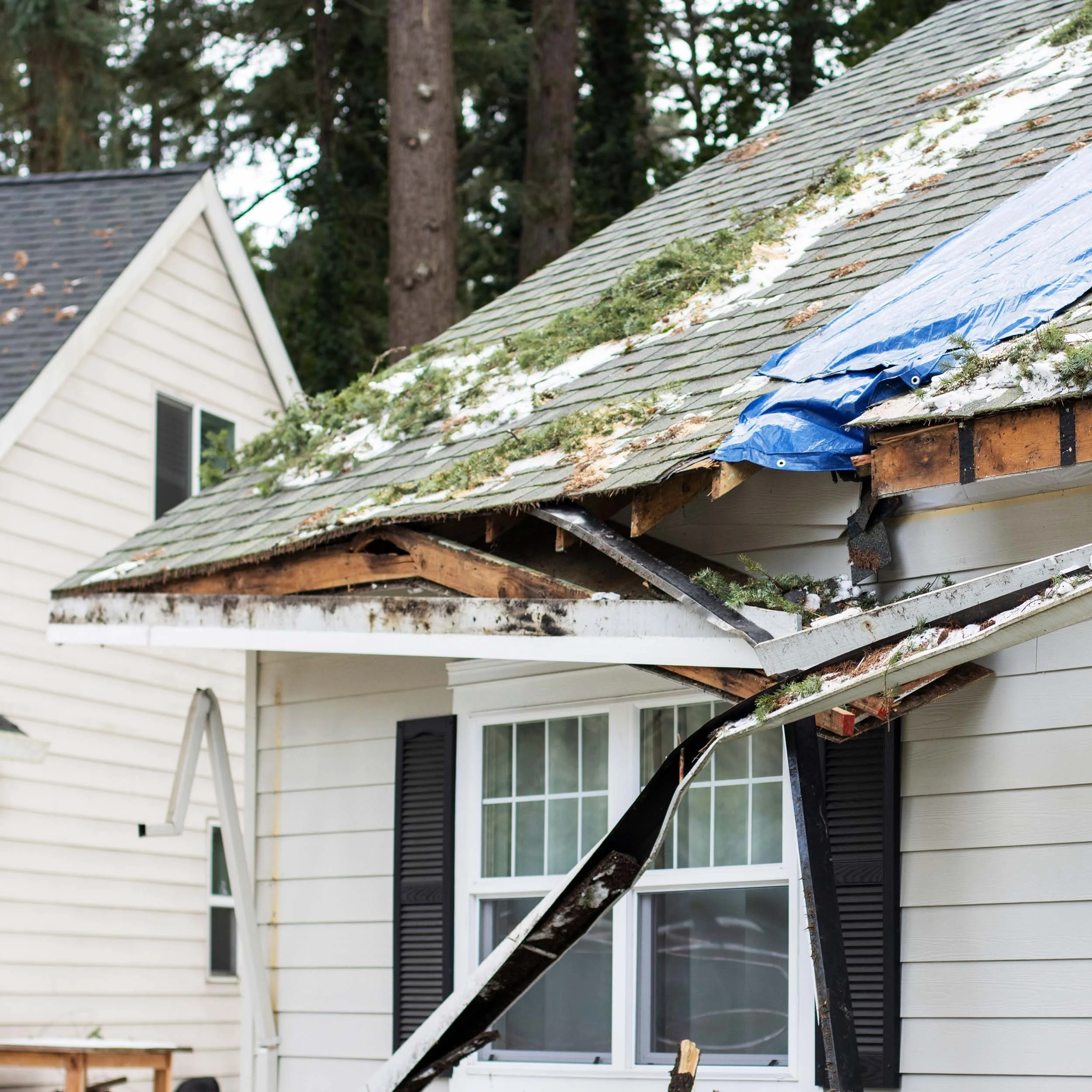 Damaged roof with missing shingles, debris, and blue tarp on house