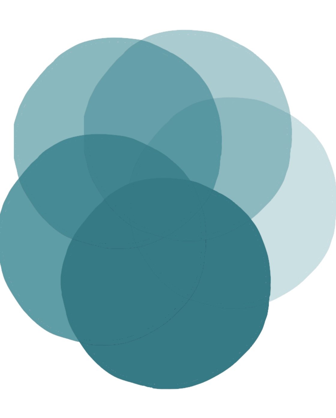 The 3rd Draft Course