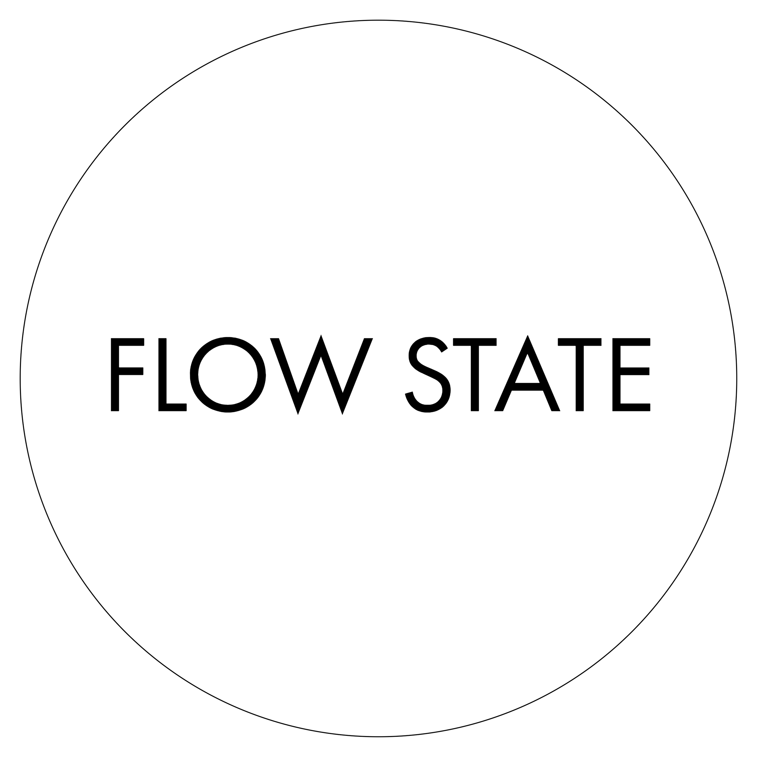 FLOW STATE pic.png