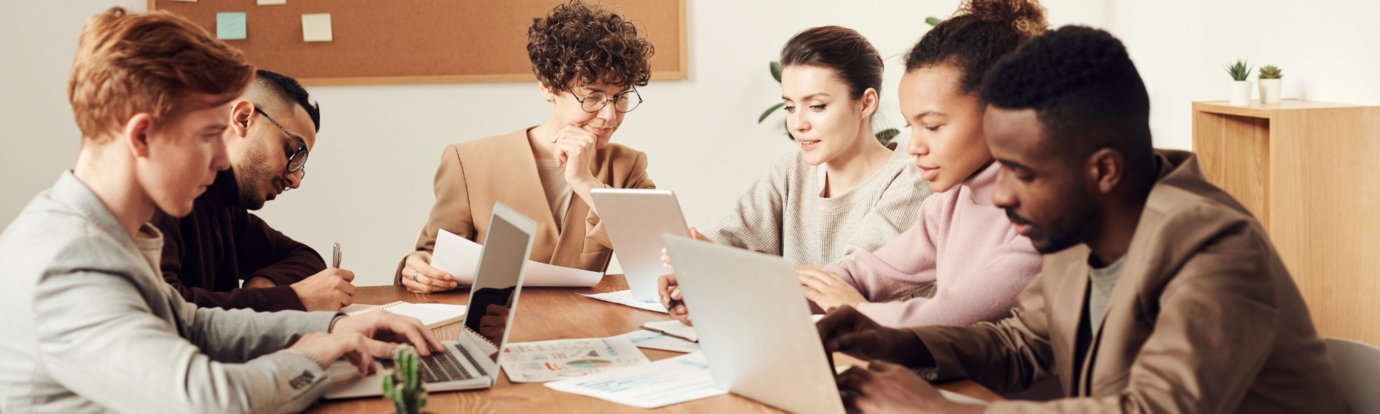 Group of people using laptops