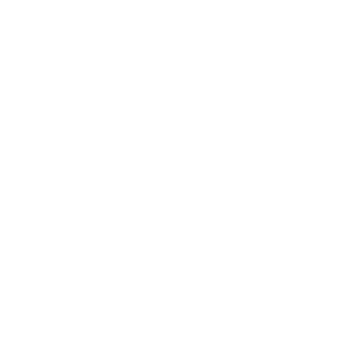 accessibility icon