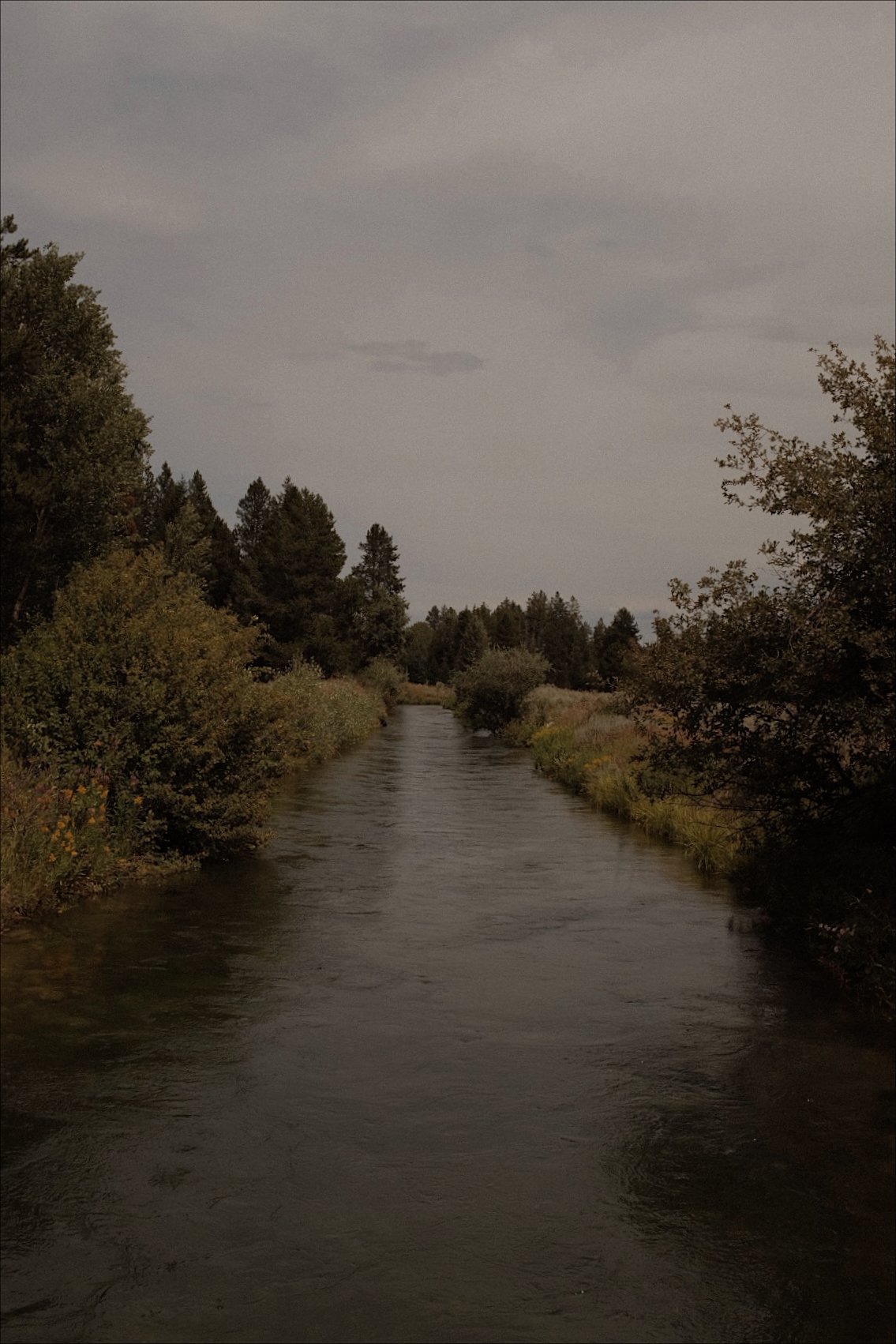 A river running through a forested area with trees on both sides, under a cloudy sky.
