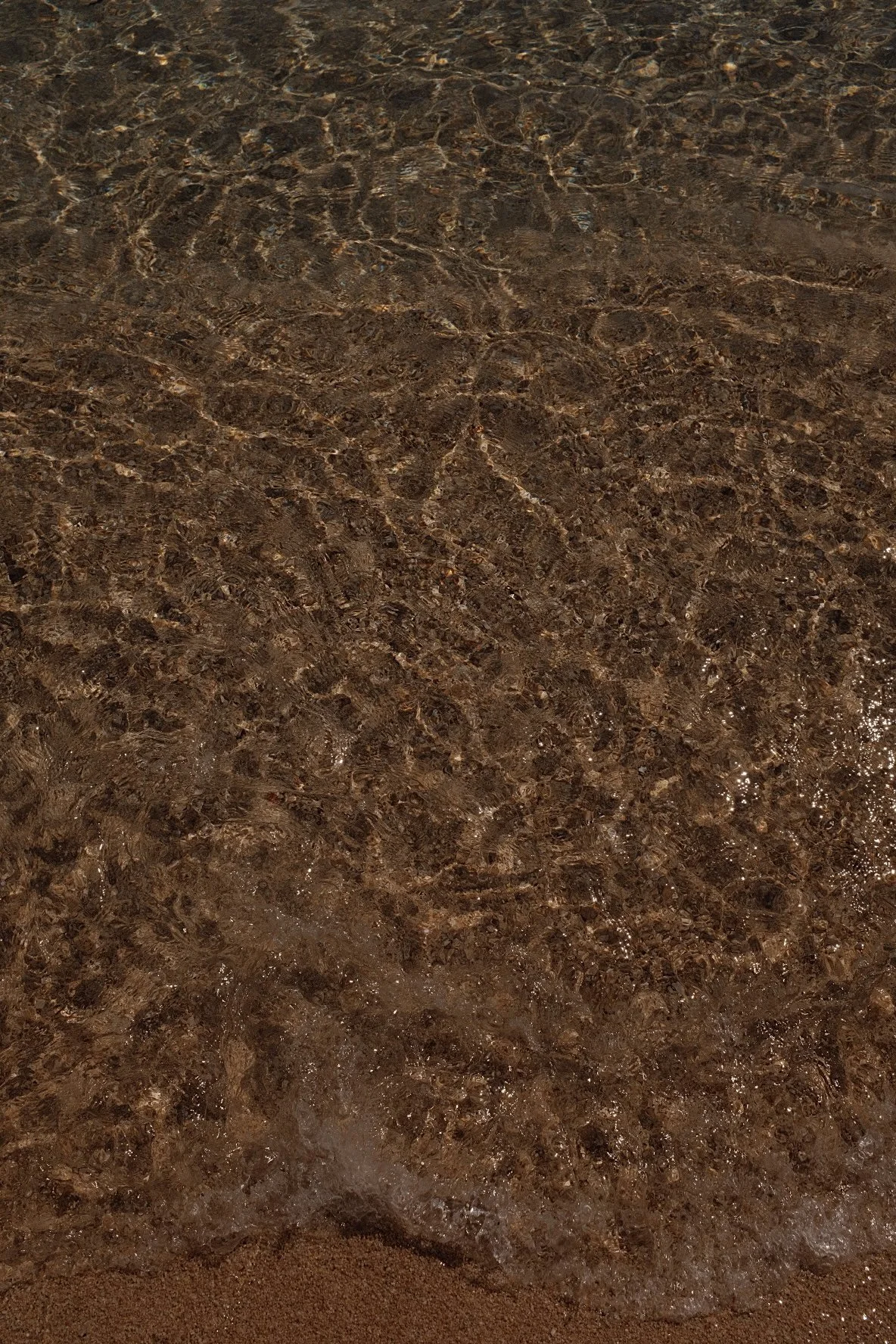 Close-up of gentle waves on a sandy beach with wet, dark brown sand and clear water. The water creates ripples and reflections on the surface.