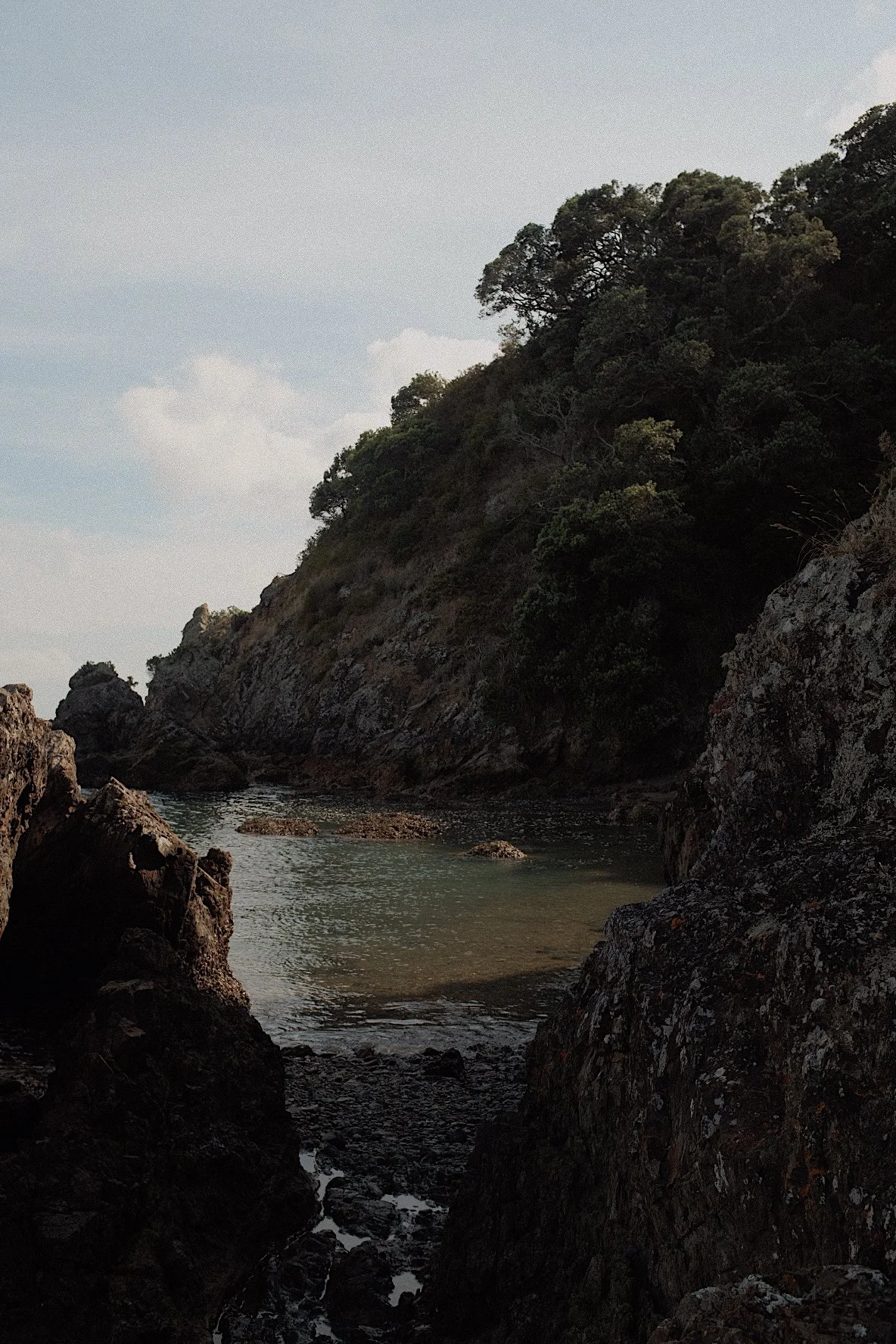 Rocky coastal landscape with trees and a calm sea under a partly cloudy sky.