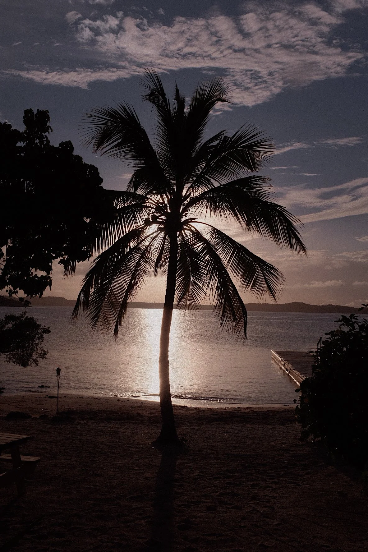 Silhouette of a palm tree on a beach during sunset with sun reflecting on the water.