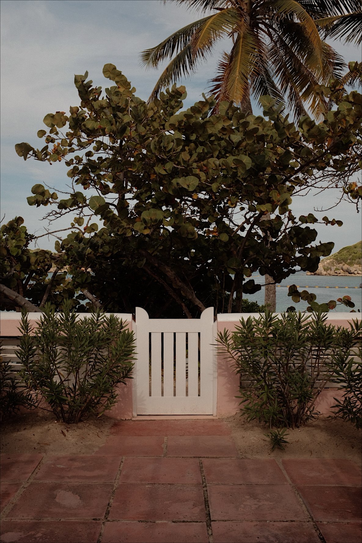 A white picket gate set in a pink wall, surrounded by green foliage and palm trees with a view of the ocean and a rocky shoreline in the background.