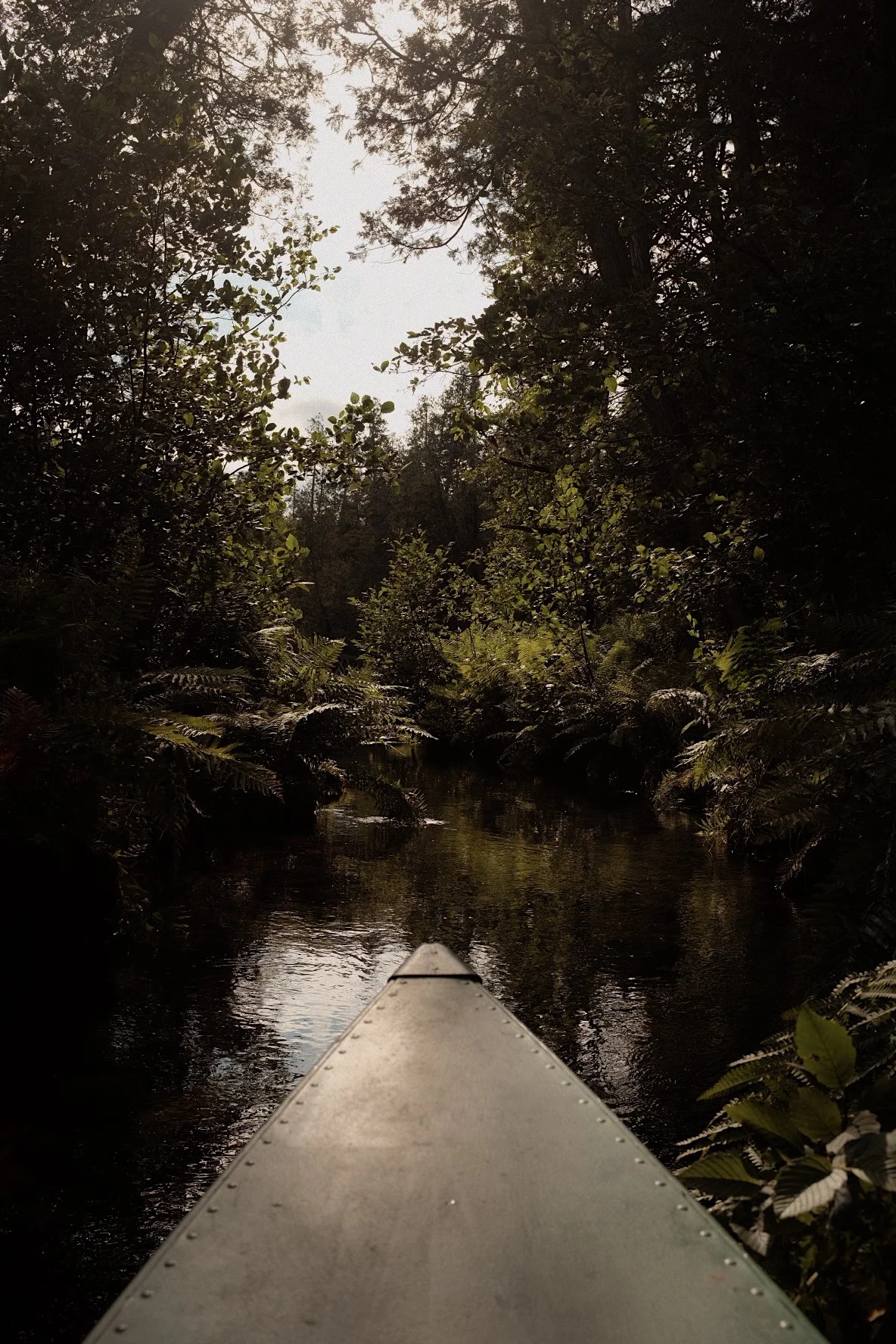 View from a kayak in a narrow river or creek surrounded by dense green trees and foliage, with the kayak's bow visible at the bottom of the image.