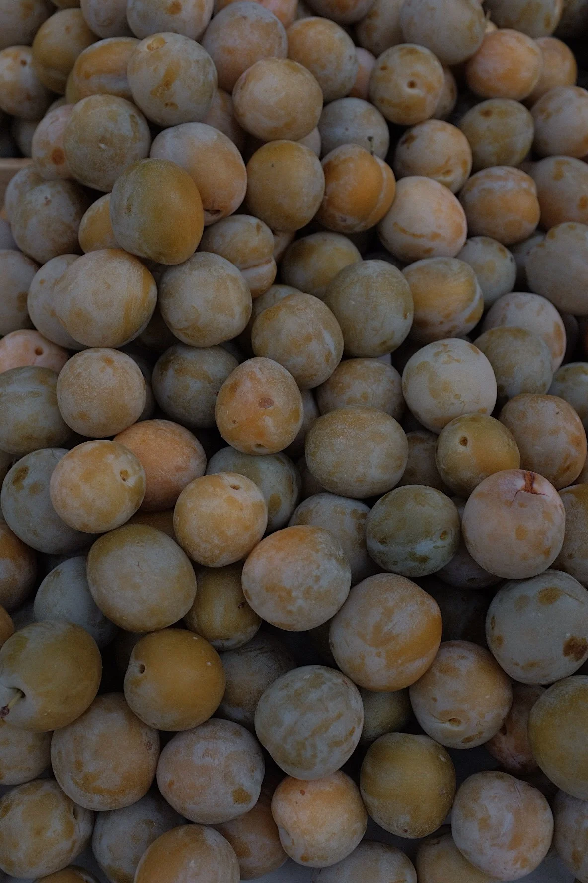 A large pile of dried yellow and white fruits, possibly apricots or plums.