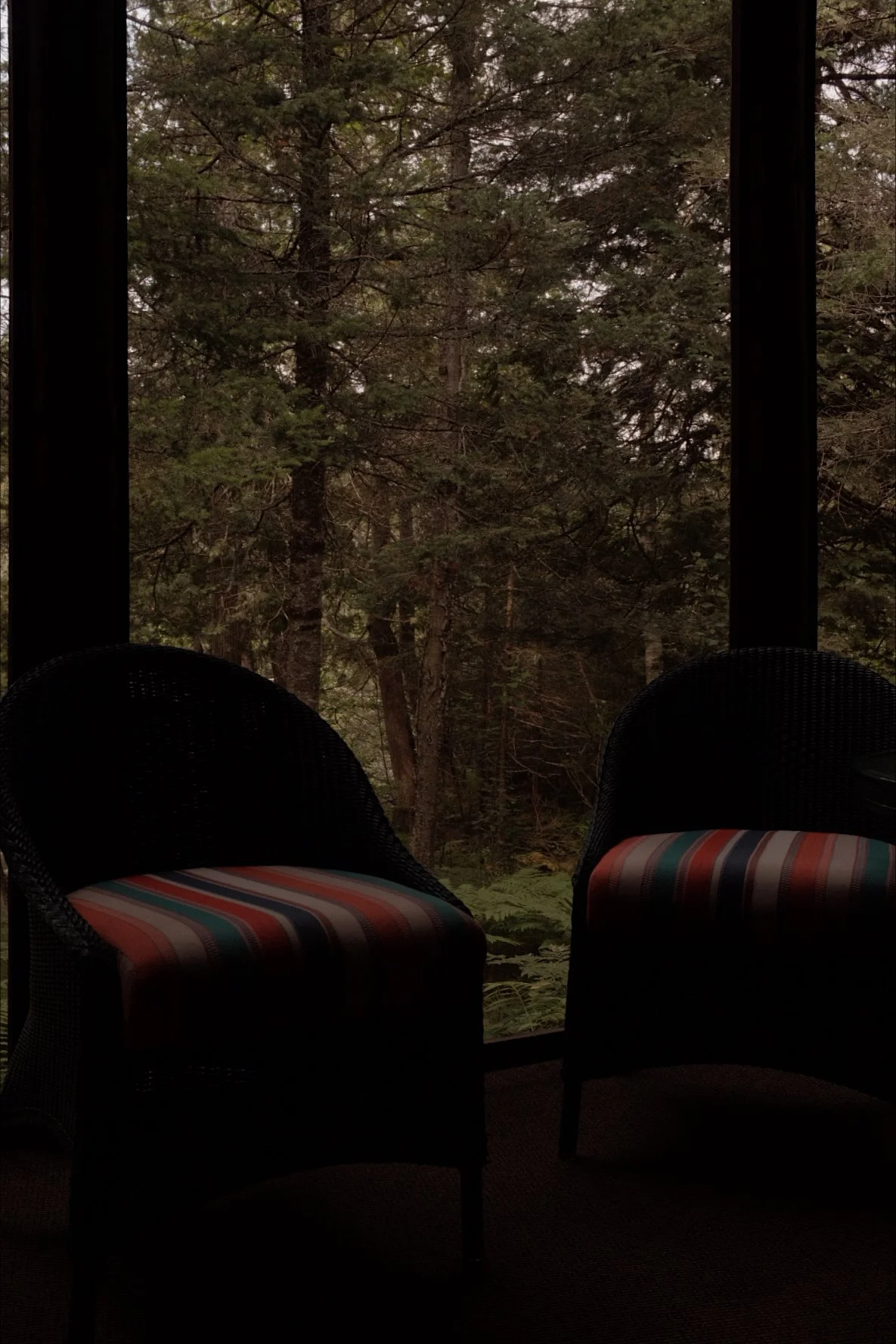 View from inside a room looking out a large window at tall trees in a forest. Two black chairs with striped cushions are in the foreground.