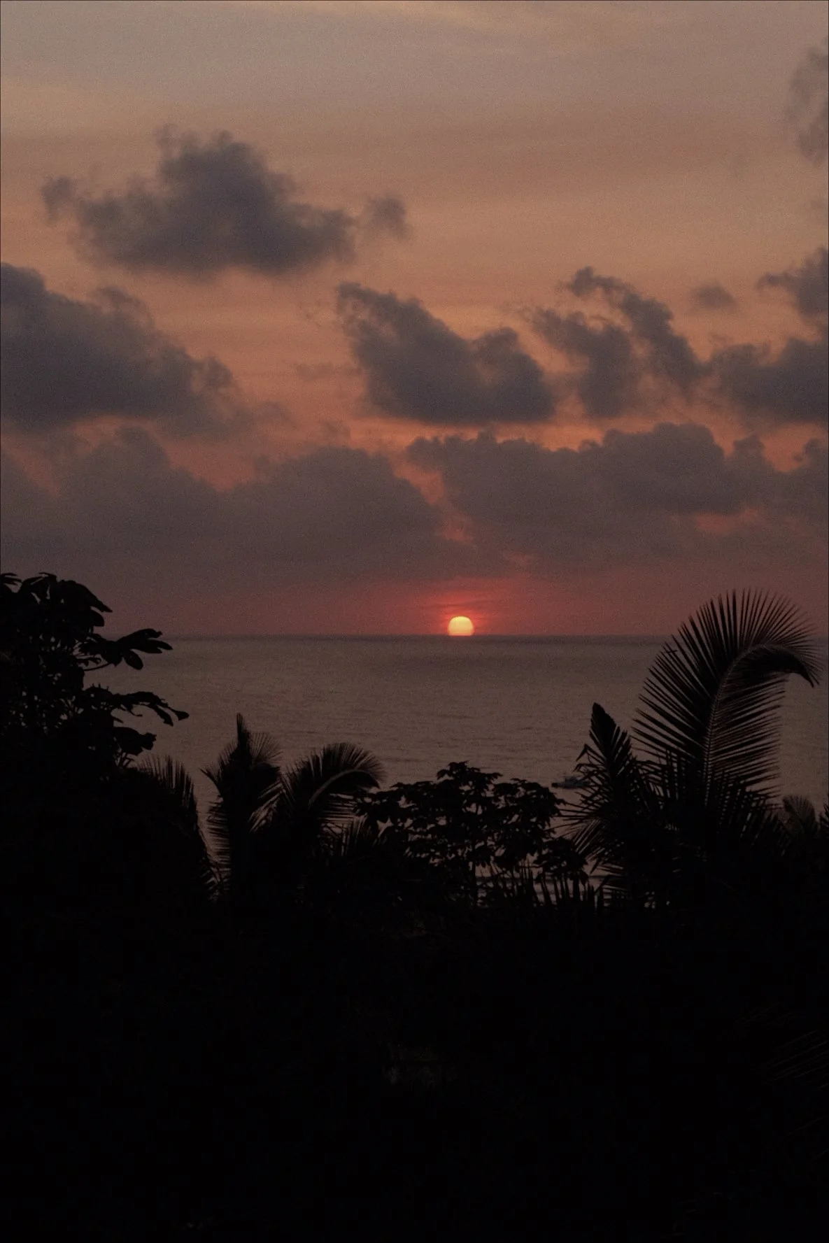 Sunset over the ocean with clouds in the sky and silhouettes of tropical plants in the foreground.