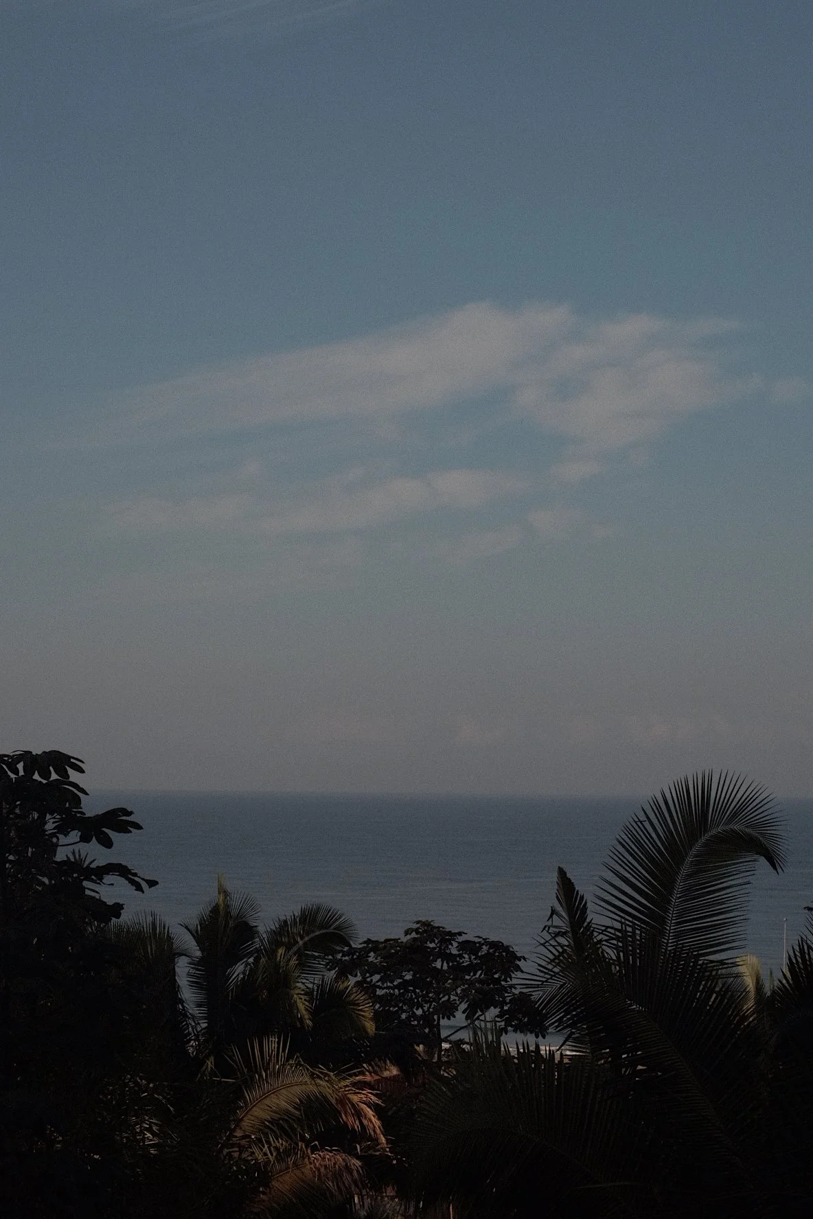 A landscape scene with a clear sky, clouds, trees in the foreground, and the ocean in the distance.