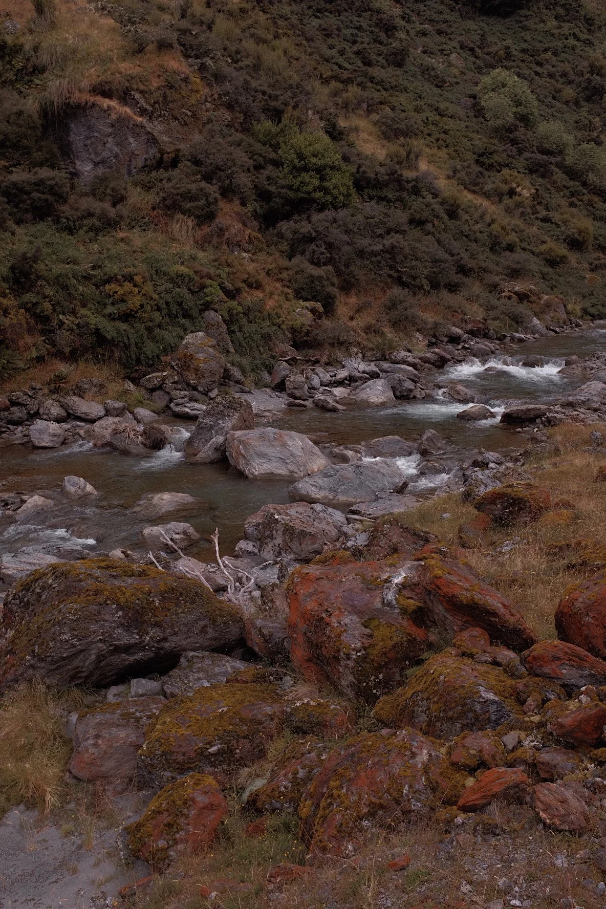 A rocky stream flows through a lush, green landscape with moss-covered boulders and small patches of grass.