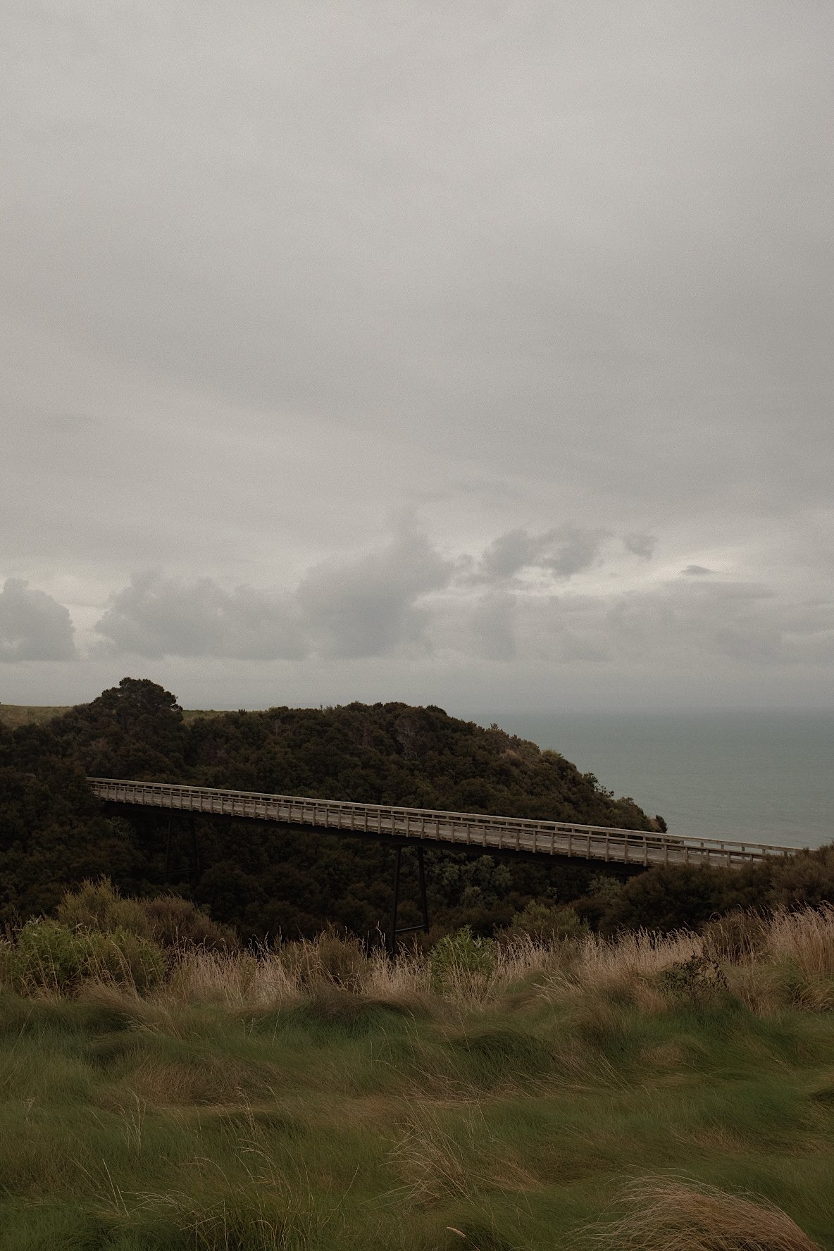 Wooden bridge over lush green landscape with cloudy sky.
