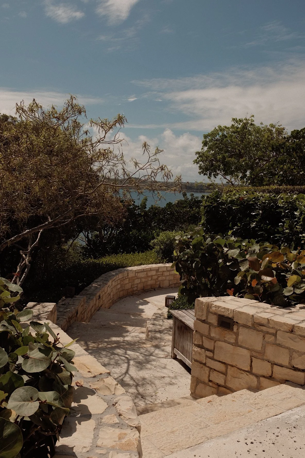 Stone pathway with trees and bushes leading to a waterfront view under a blue sky.