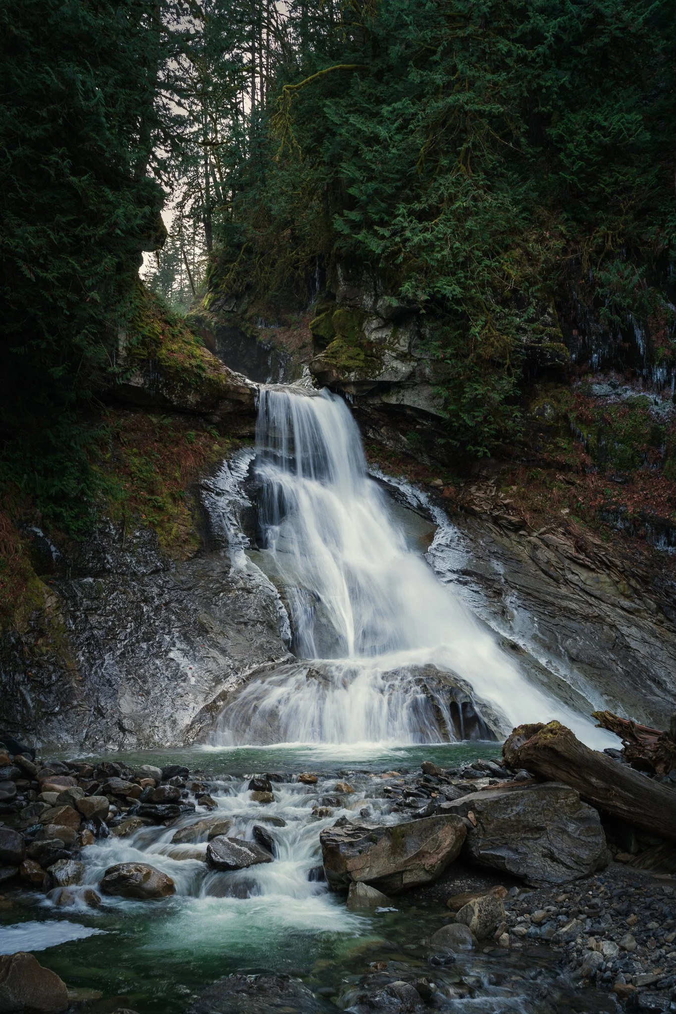 DSC04874.jpg