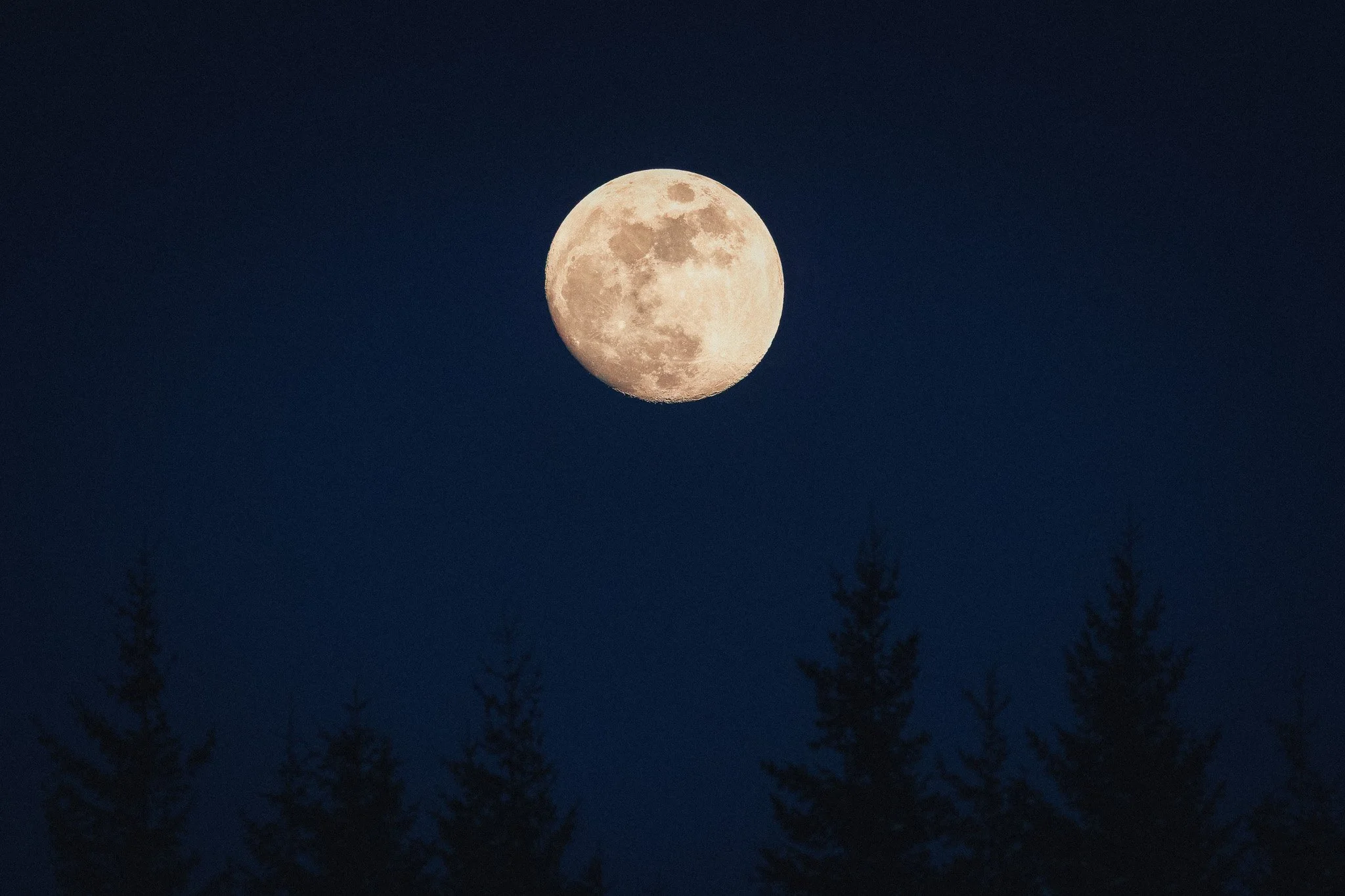 moon1DSC09234-rawdenoise-sharpen.JPG