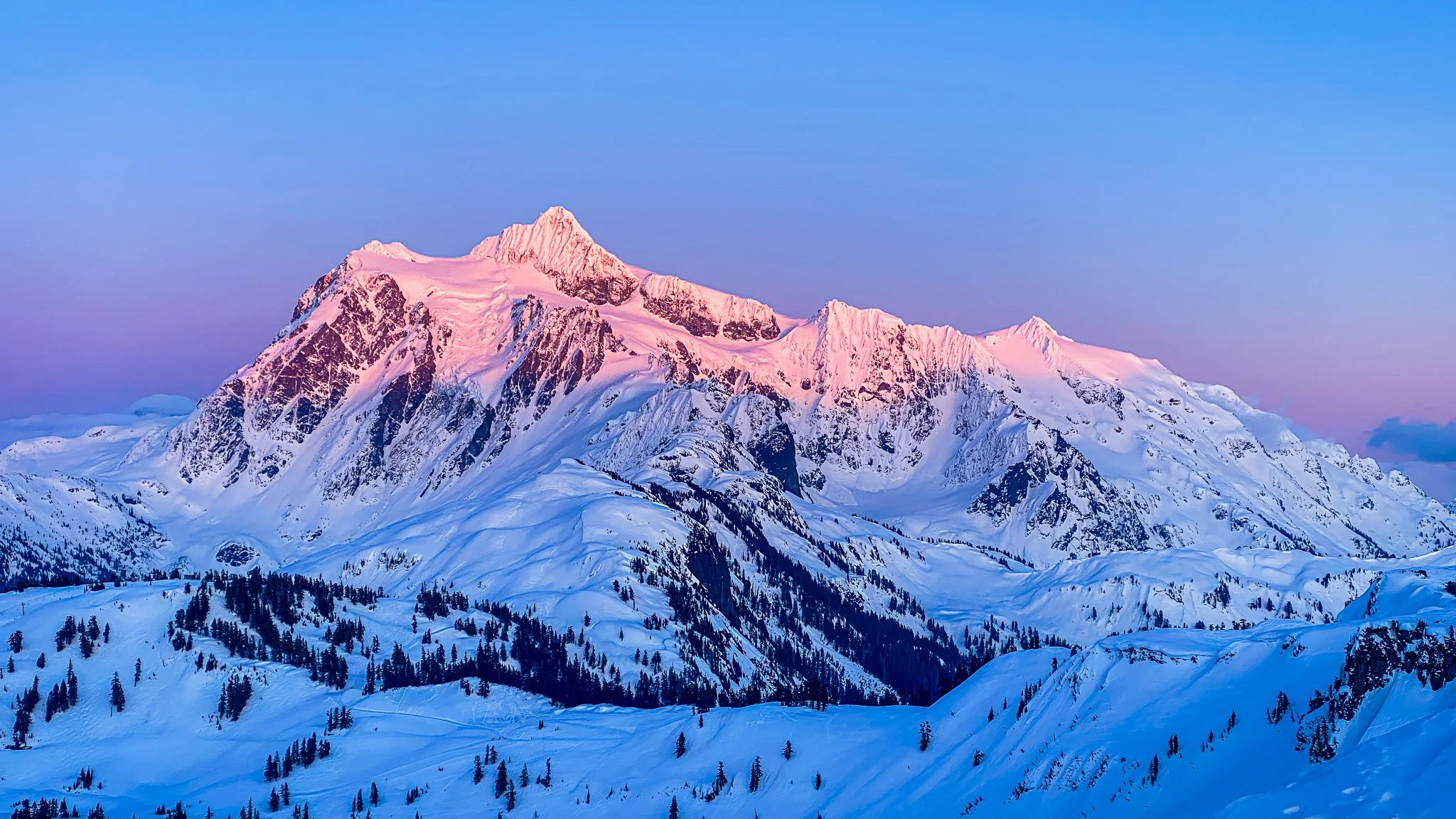 Shuksan from from Tble Sattle .JPG