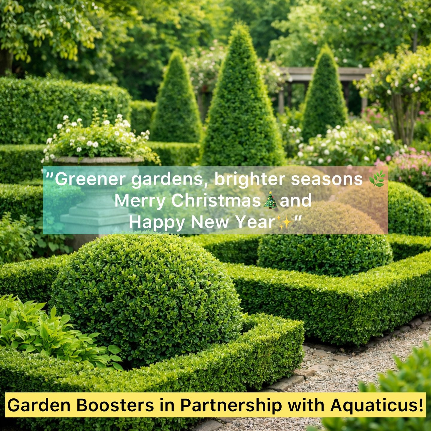 ✨🎄&ldquo;This Christmas, we wish your gardens lush growth, healthy soil, and a greener New Year 🌿
Thank you for trusting Garden Boosters and Aquaticus with your garden care. Merry Christmas &amp; Happy New Year!&rdquo;