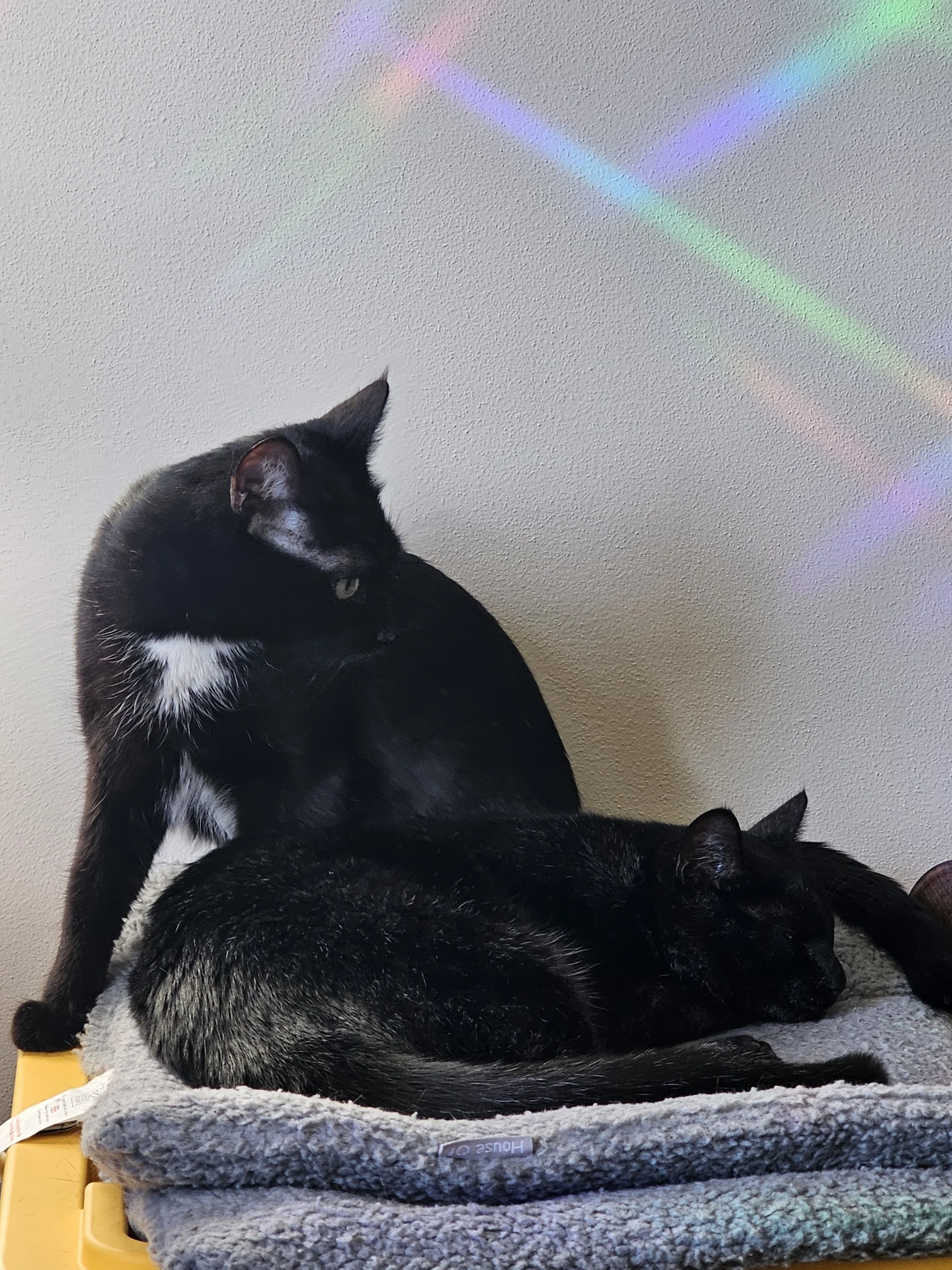 20250218_083414.jpg