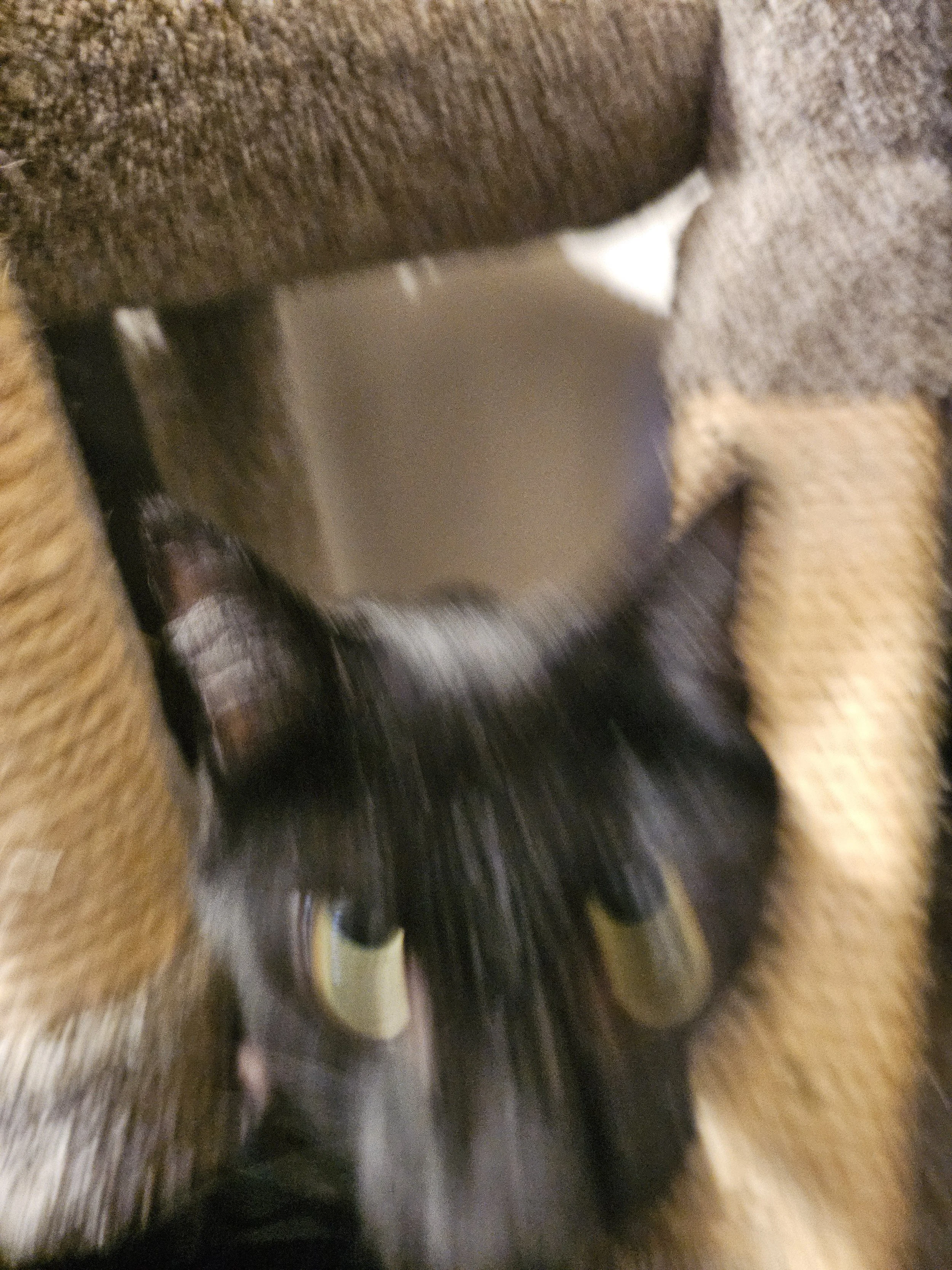 20250204_173149.jpg