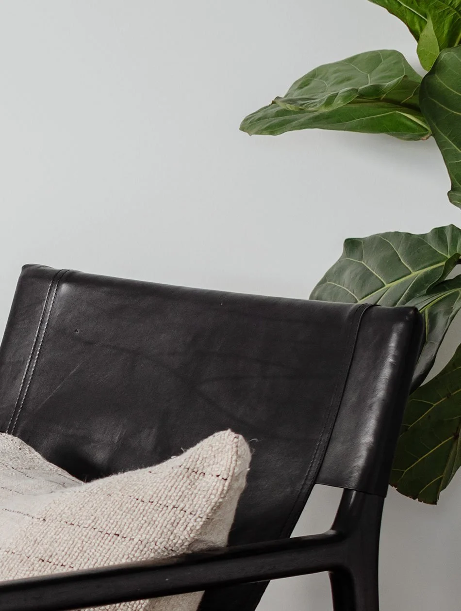 ICB abstract pics 3.jpg