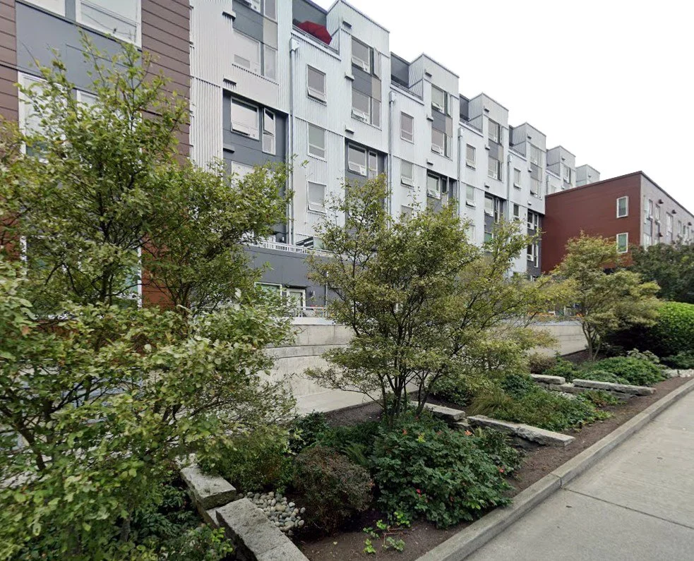 Case Studies: Integrating Rainwater