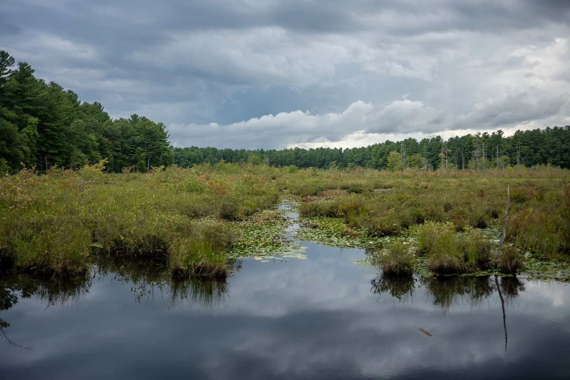 August 29, 2025 - 5:44 PM