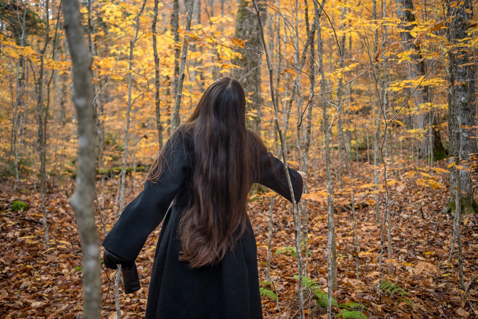 October 24, 2025 - Her favorite tree. Albany, NH