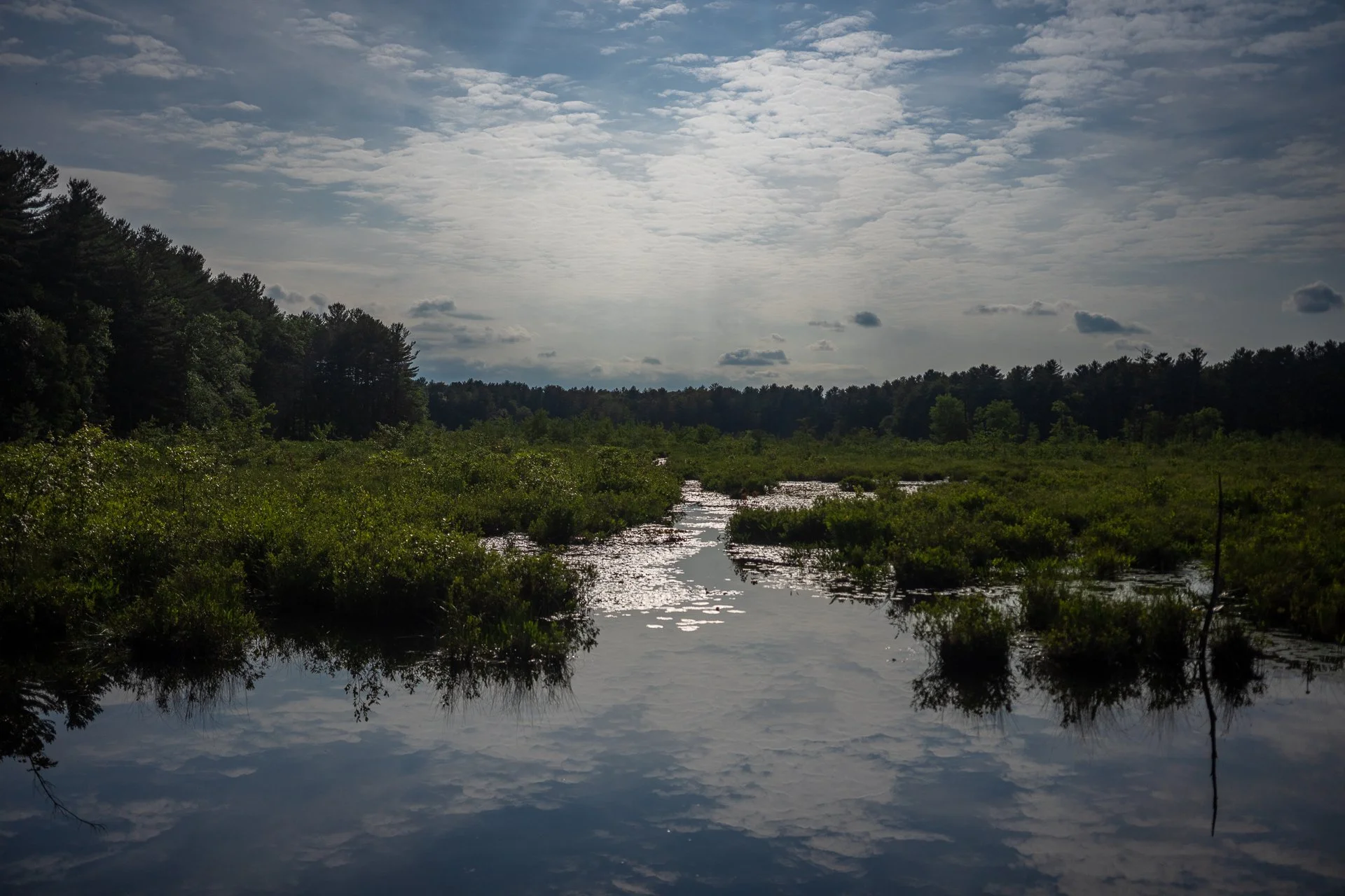 June 15, 2025 - 5:30 PM