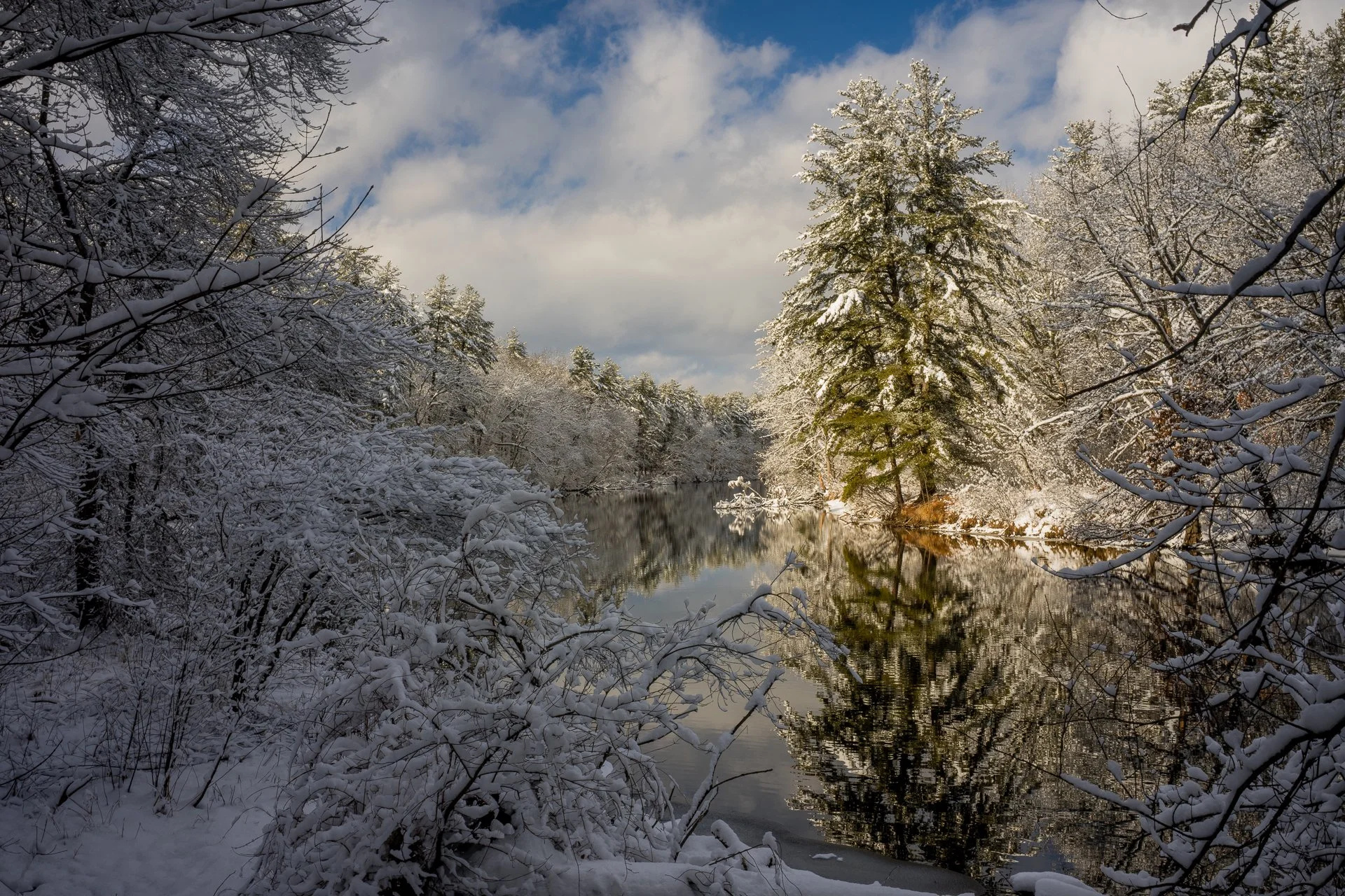 January 19, 2026 - Fresh coating, melting with the sun. Nashua, NH