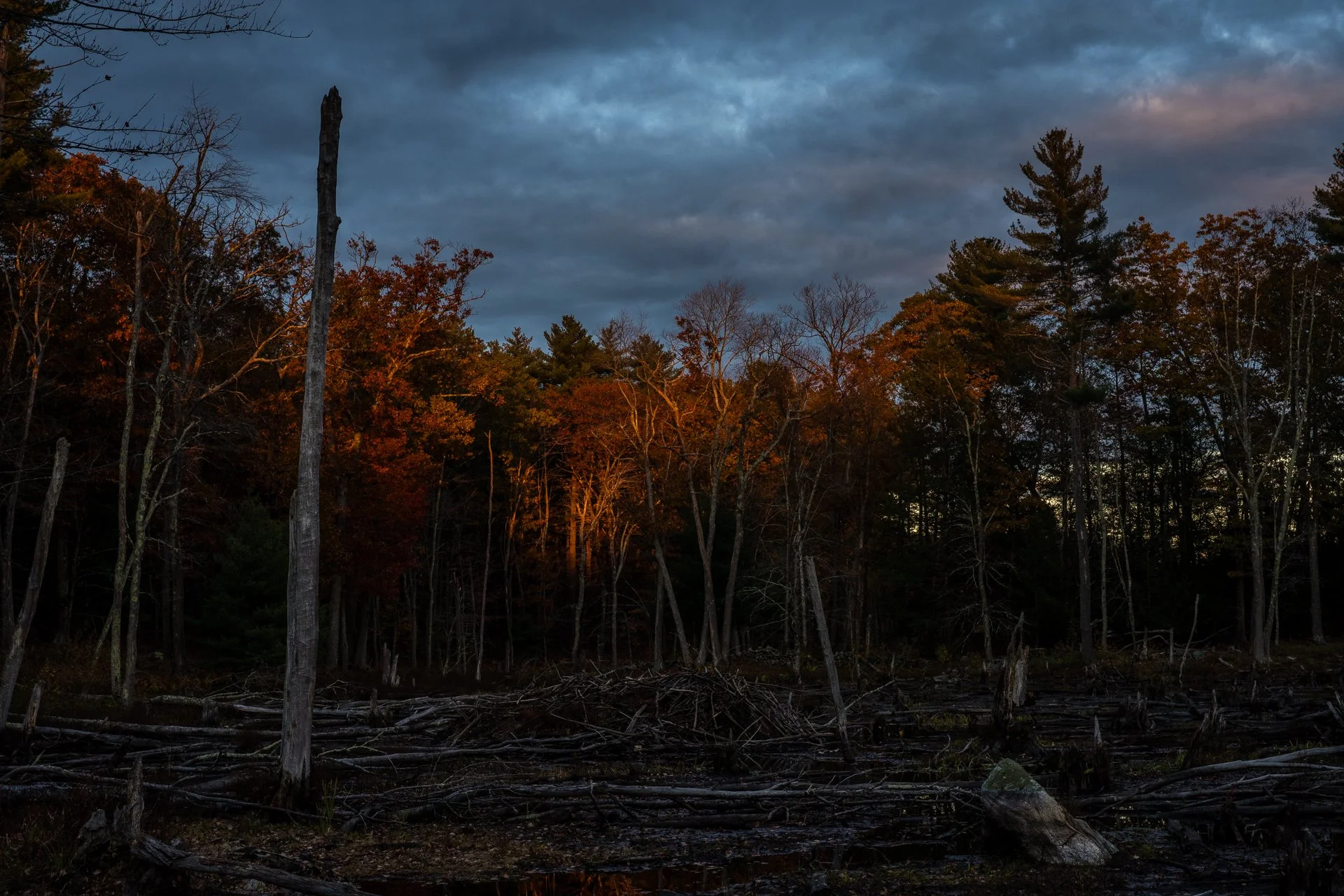 October 23, 2025 - Last light on the marsh. Pelham, NH