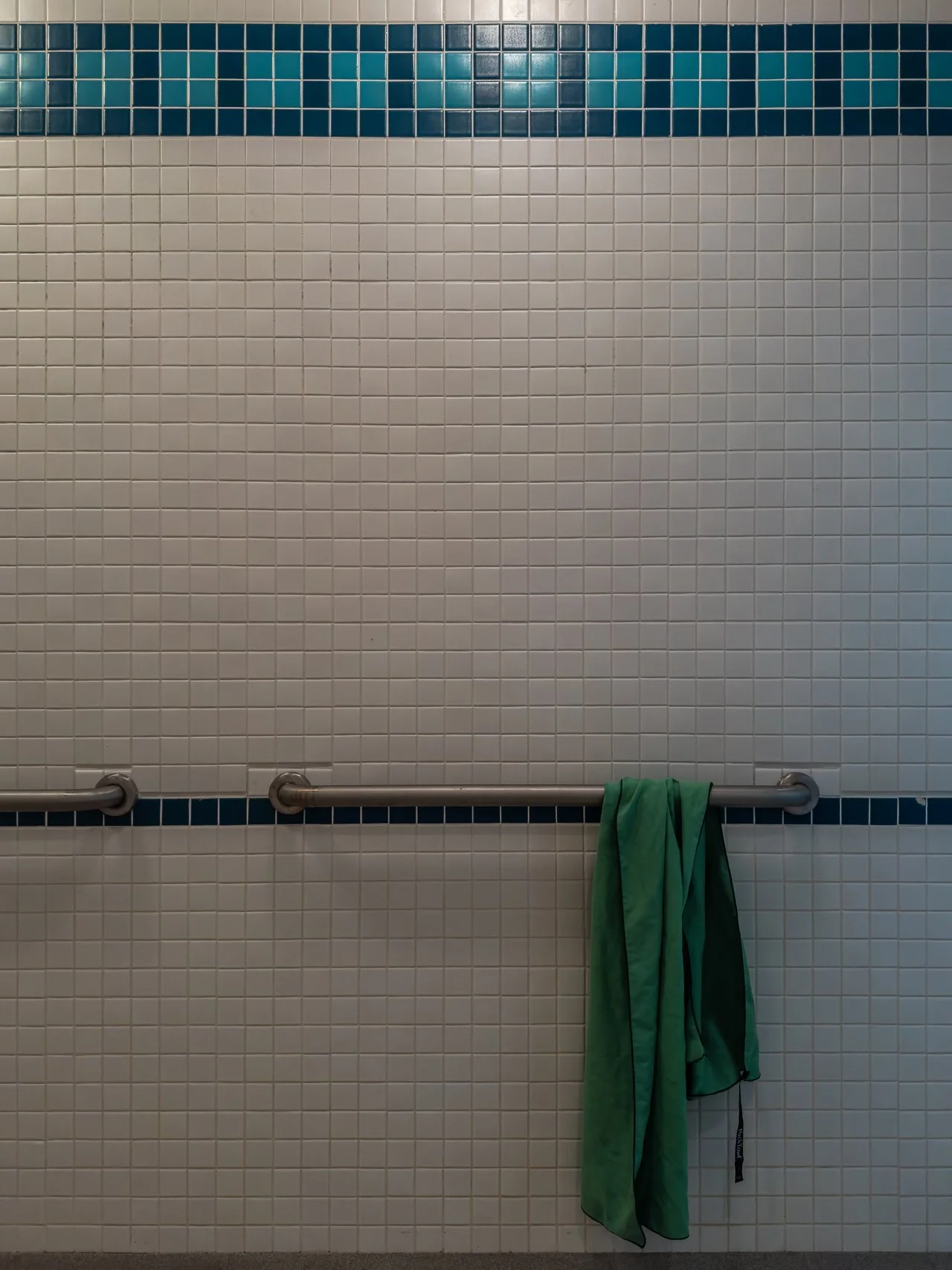 January 27, 2026 - Cold evening swims. Nashua, NH