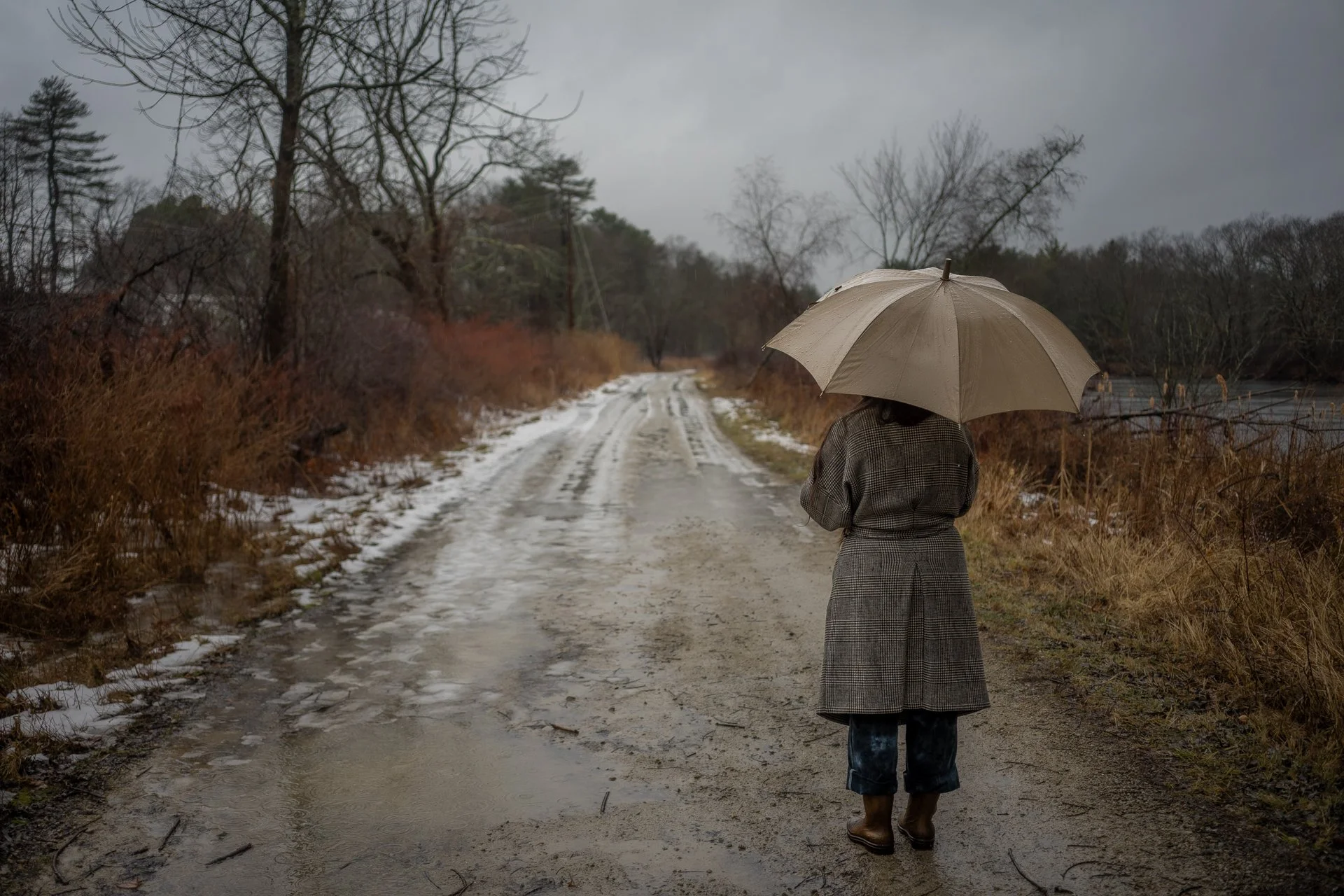 December 19, 2025 - Spooky rainy days are the best for extended walks in the woods. Nashua, NH