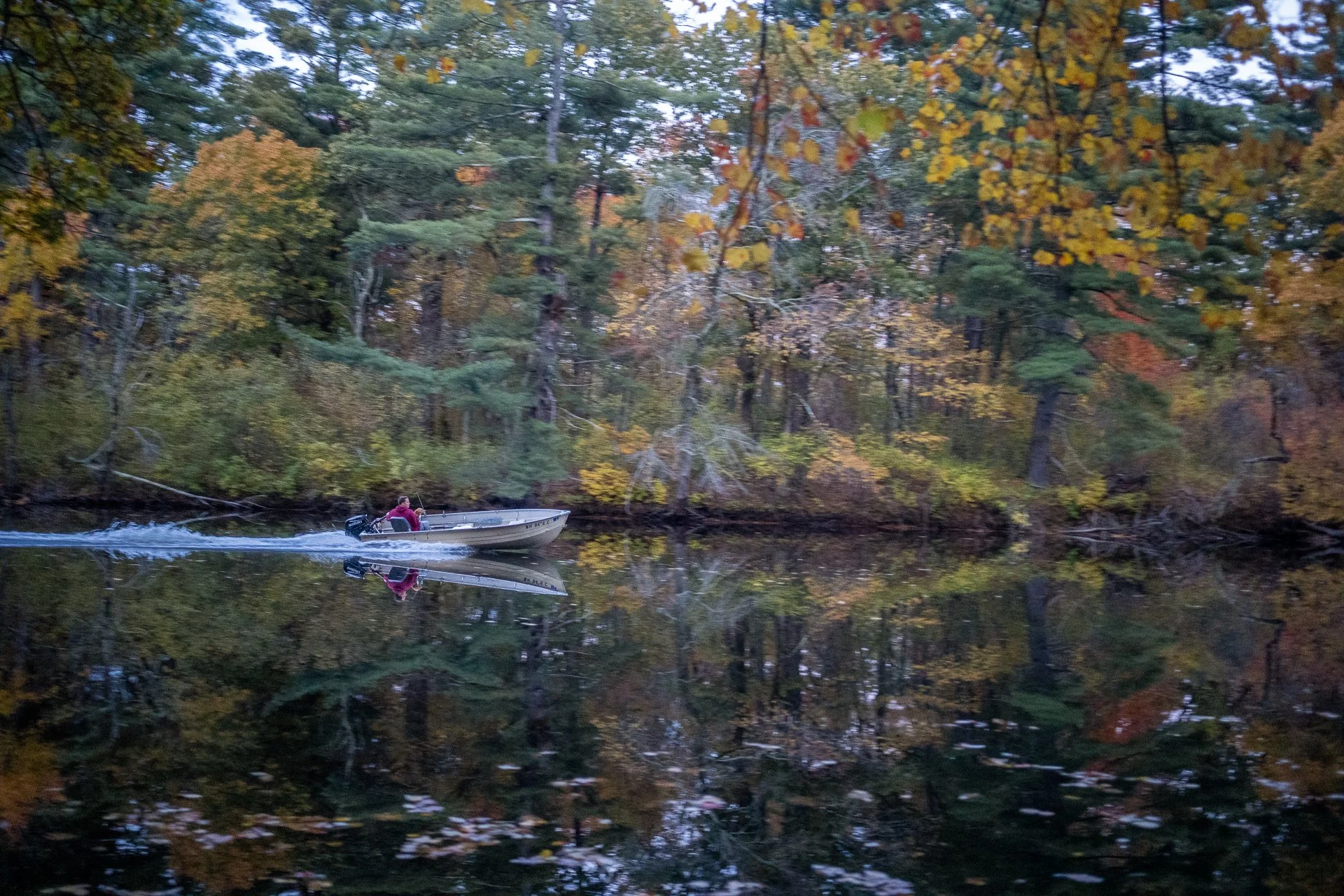 October 22, 2025 - A man and his best friend. Nashua, NH