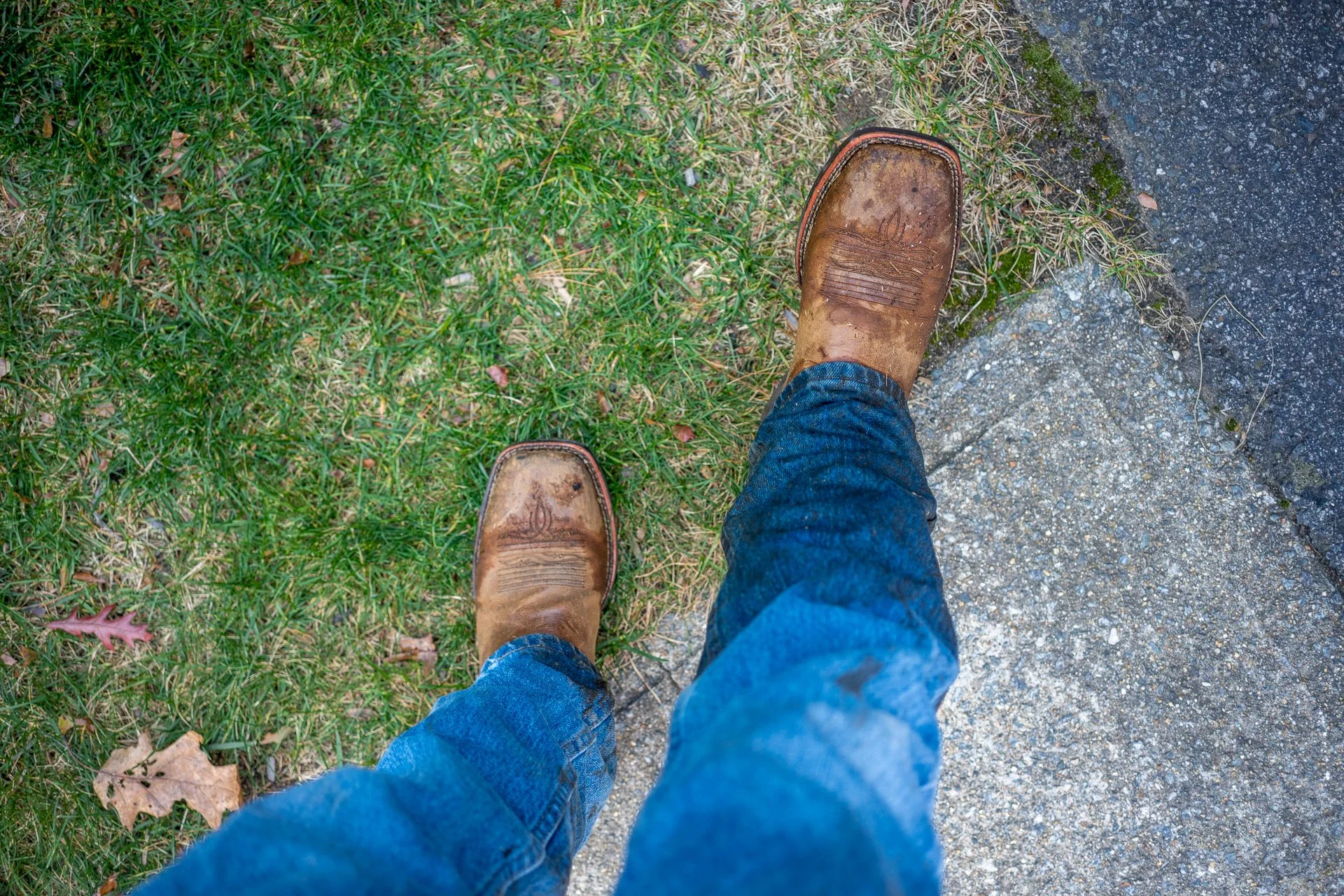 November 15, 2025 - Obstacle avoidance fails, into the marsh I go. Groton, MA