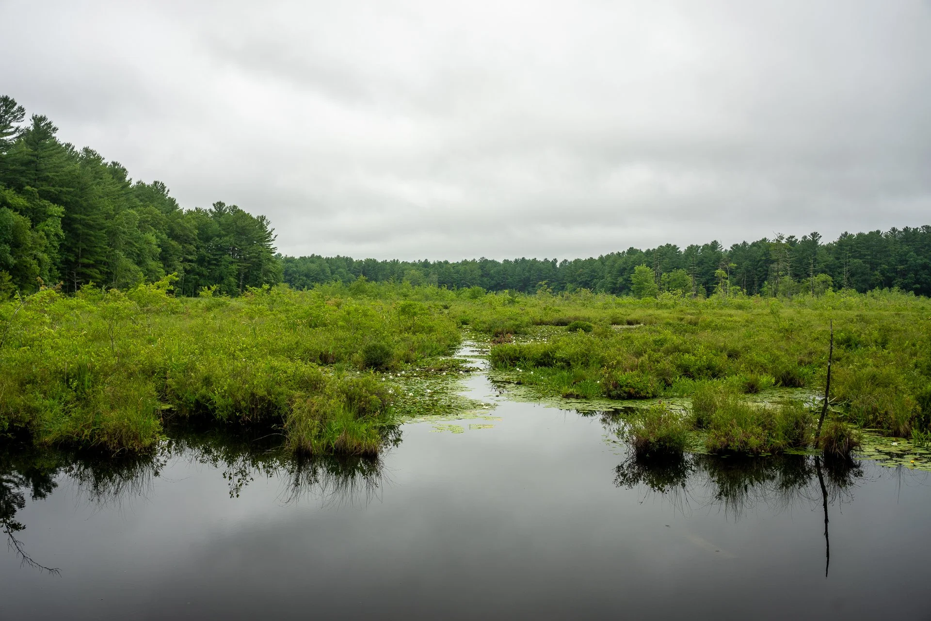 July 10 , 2025 - 1:58 PM