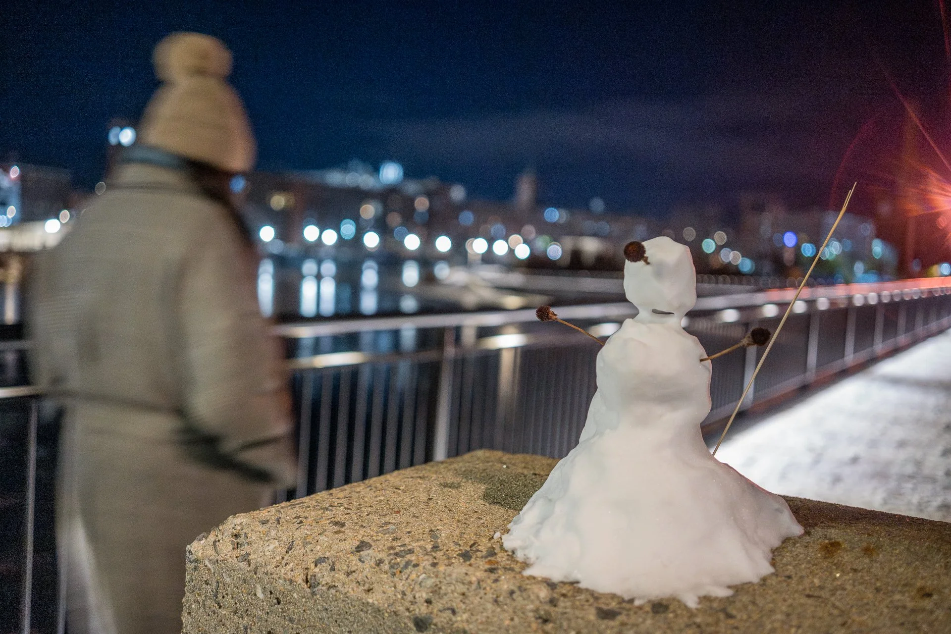 December 15, 2025 - A steward along our evening walk. Nashua, NH