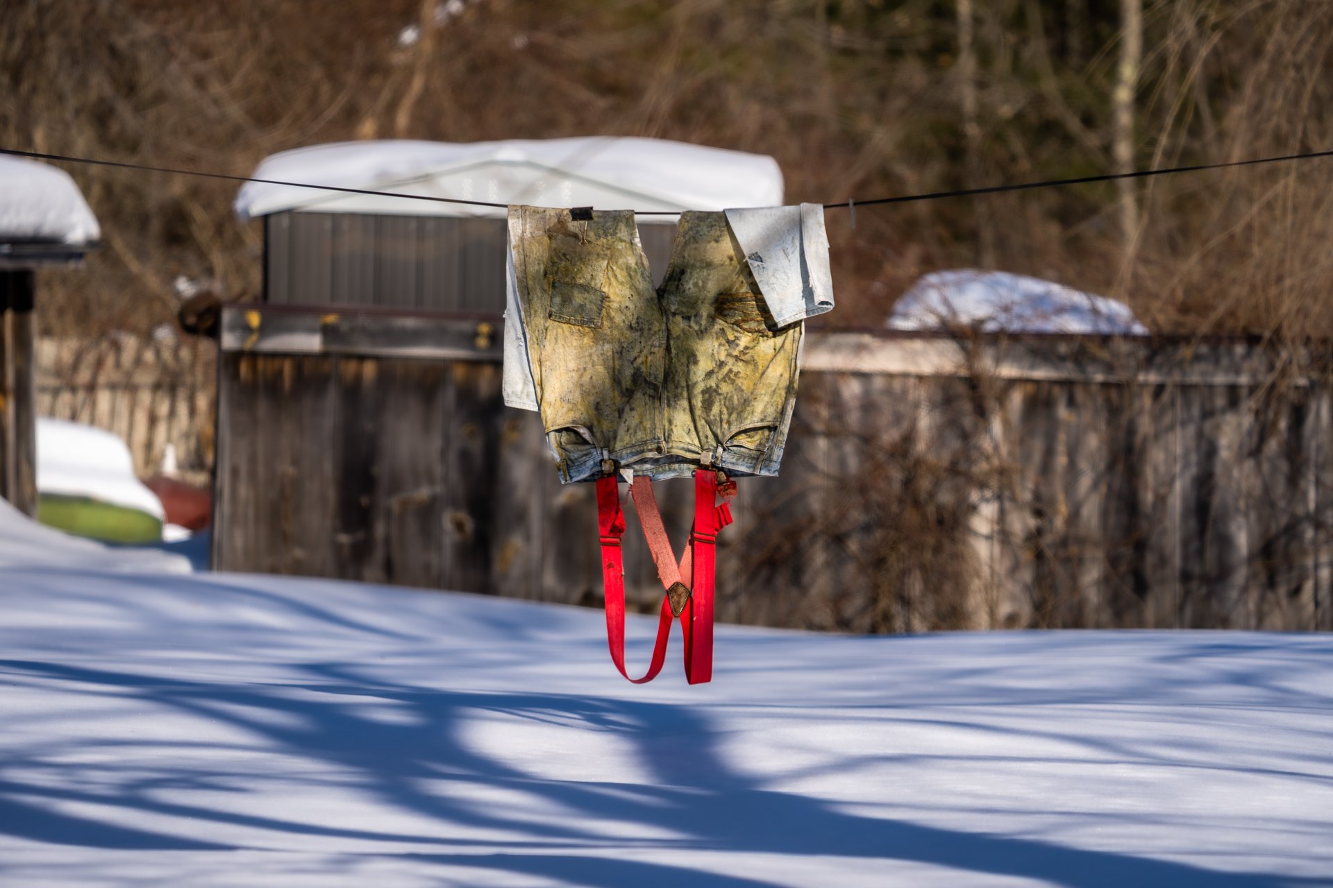 February 28, 2026 - I think they're dry. Groton, MA