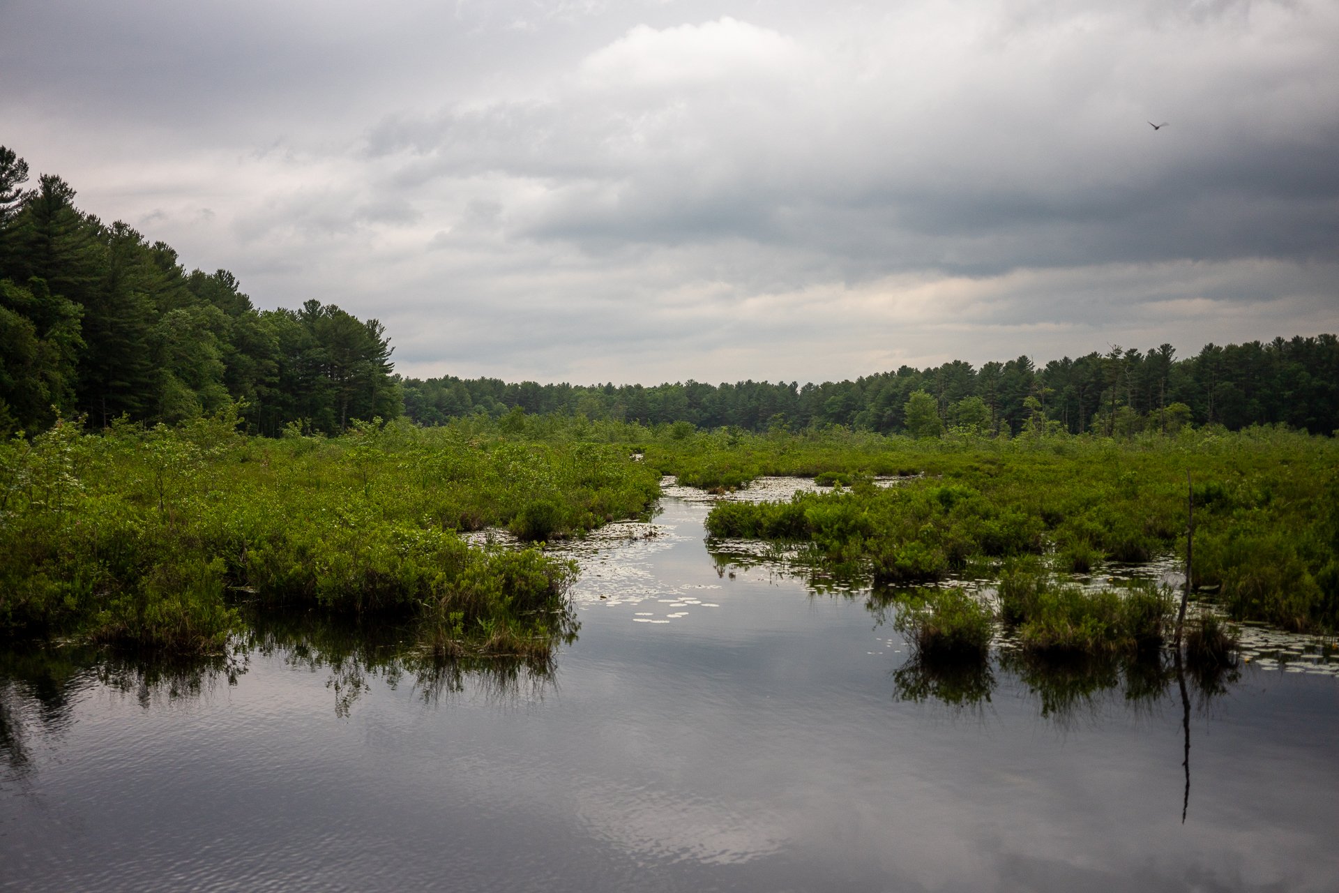 June 6, 2025 - 6:47 PM