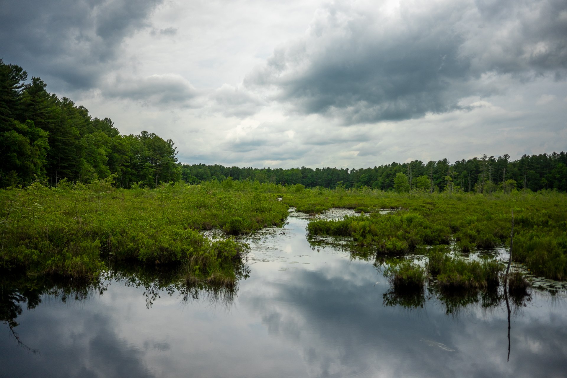 May 30, 2025 - 12:08 PM