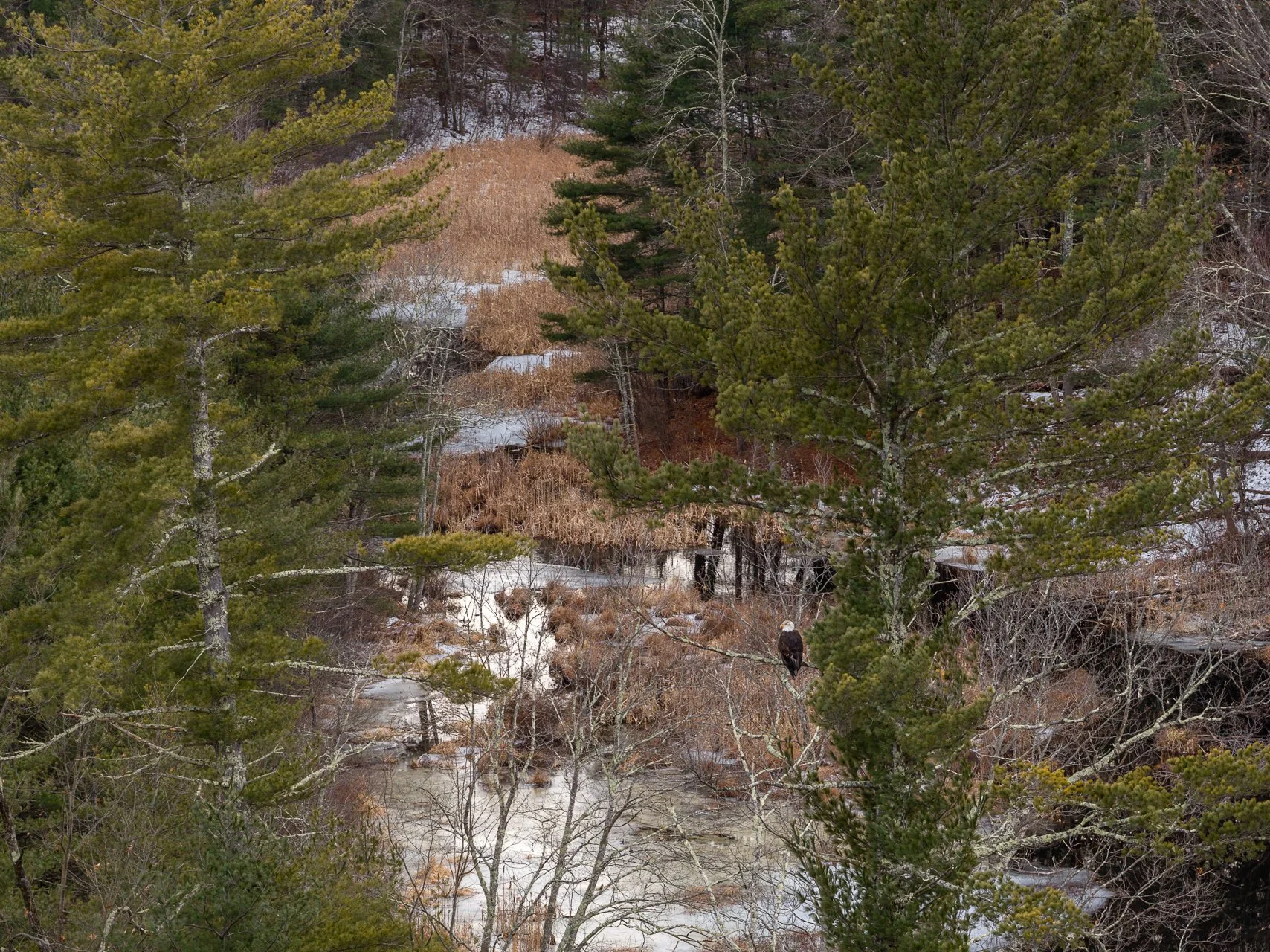 December 20, 2025 - Overlooking the hidden river. Groton, MA