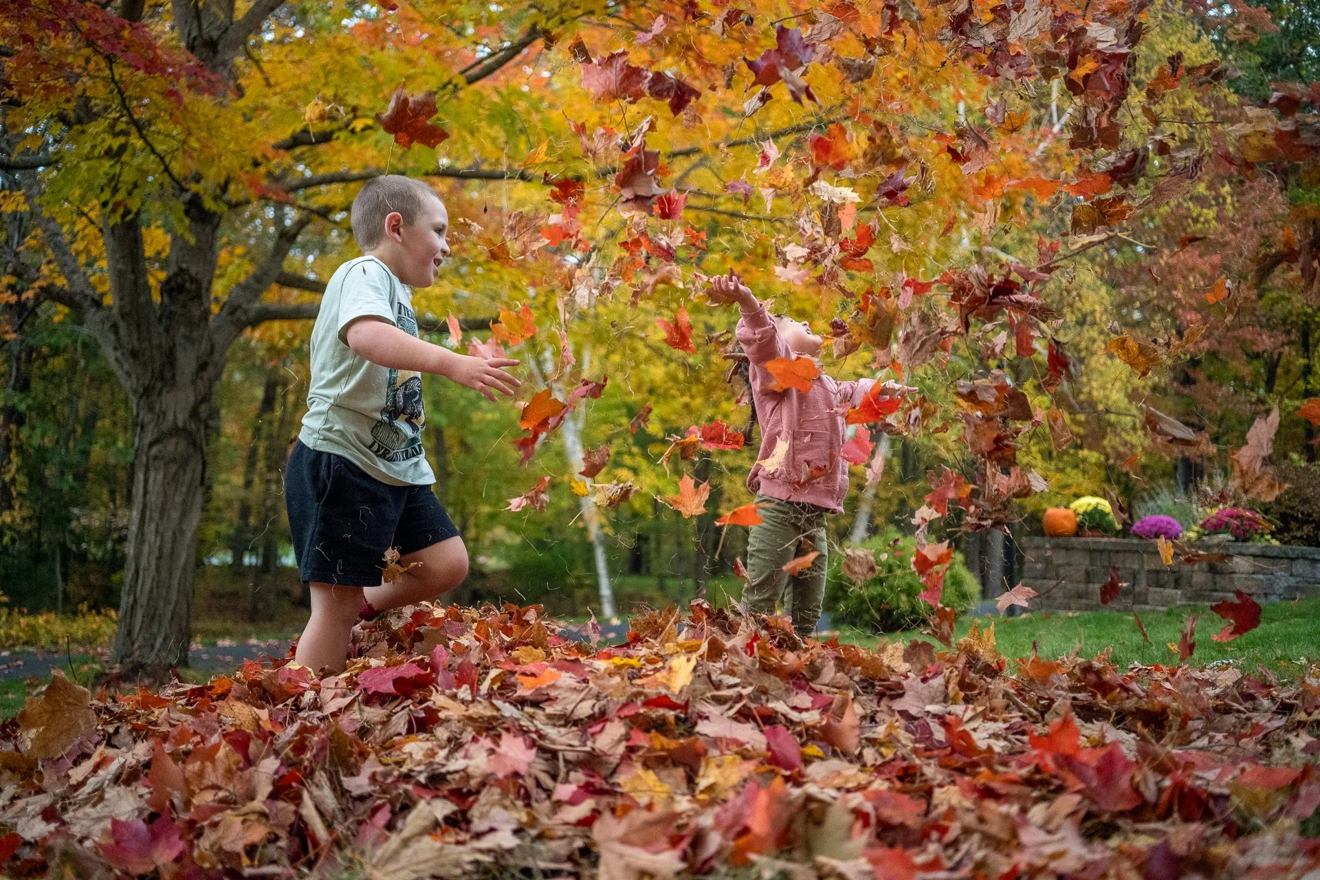 October 19, 2025 - Unbridled joy. Pelham, NH