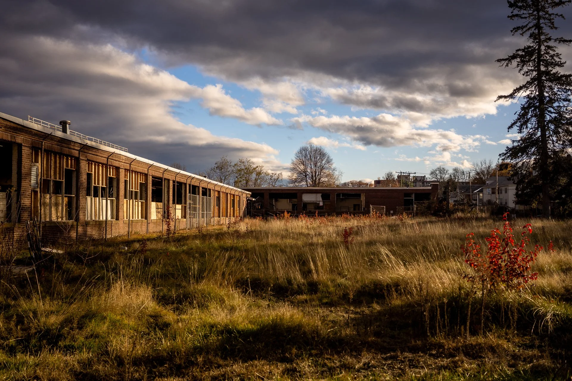 November 14, 2025 - Afternoon light on new routes. Nashua, NH