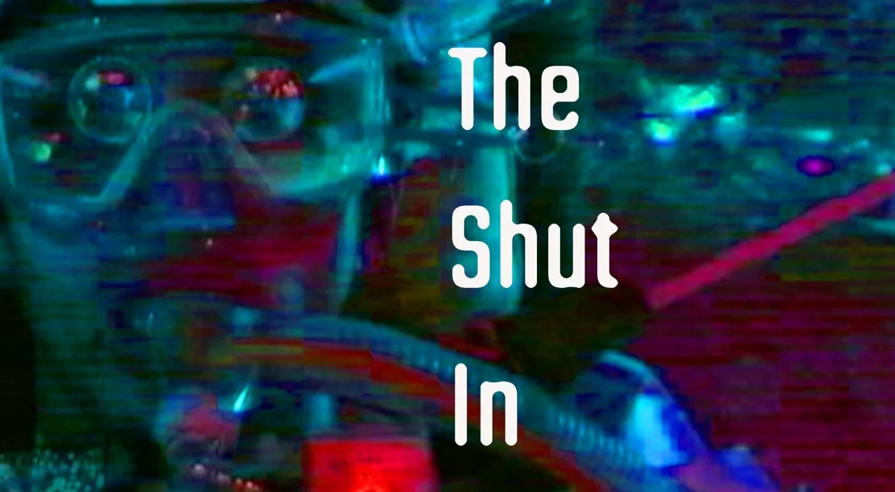 THE SHUT IN · Live-action short, 2005. Where it started. Official selection, LA Short Film Festival 2005.