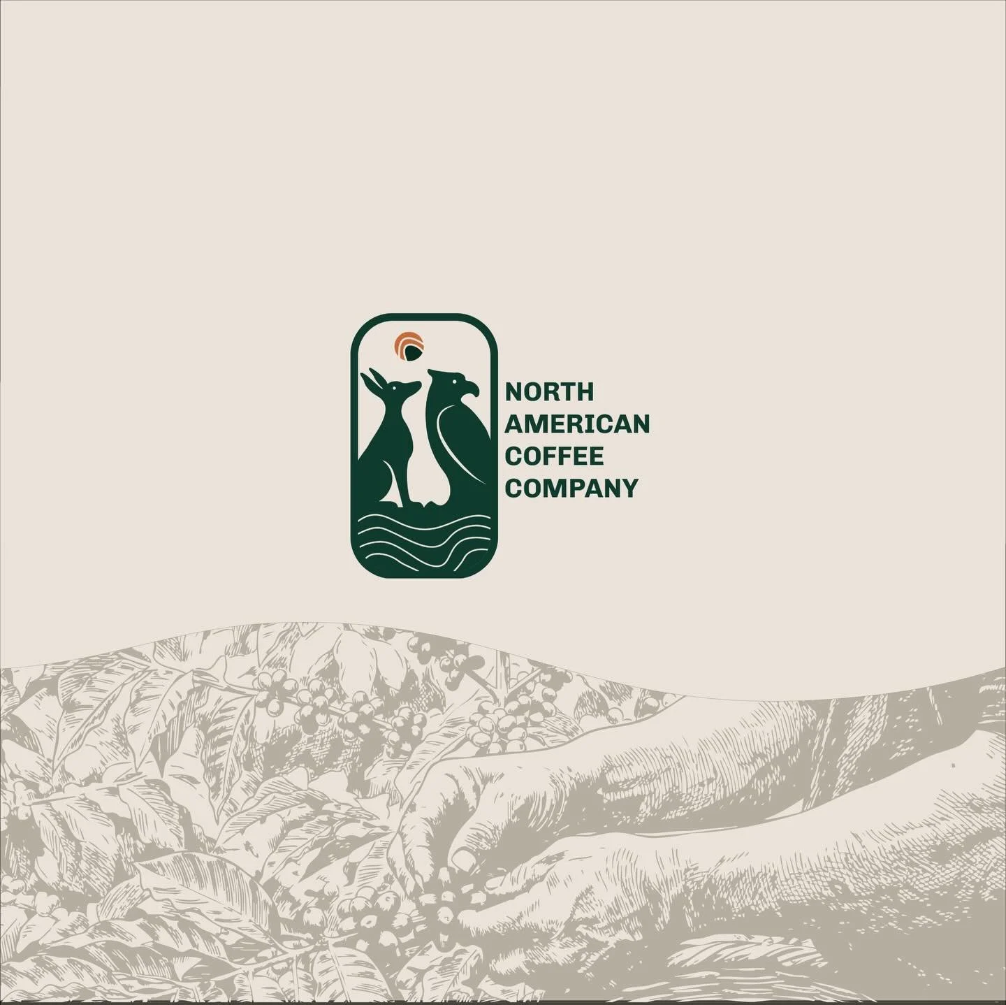 Introducing North American Coffee Company.

The gateway for Mexican specialty coffee in the United States.

NACC is a platform that brings the best specialty coffee from Mexico directly to U.S. consumers &mdash; roasted in Mexico and shipped fresh ac