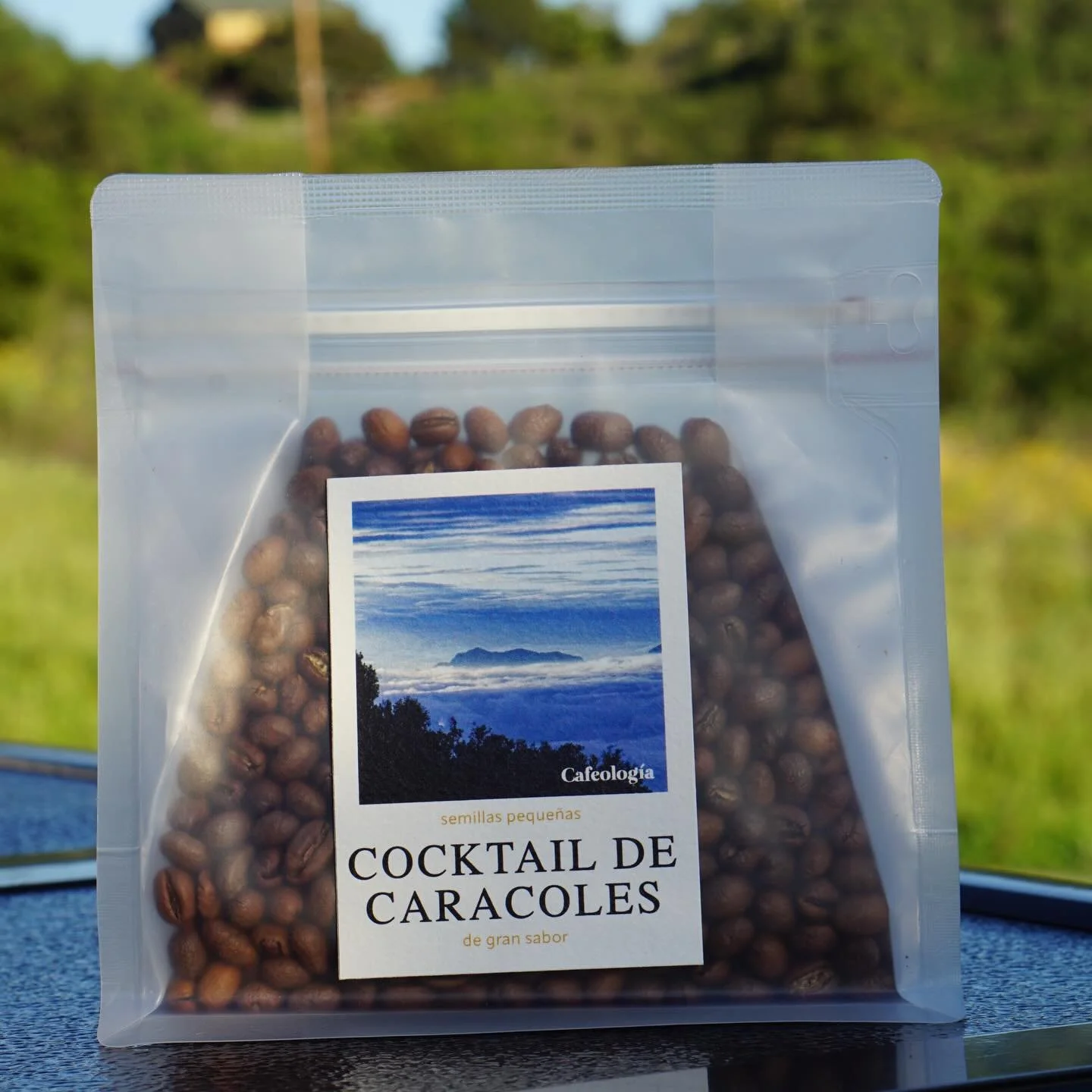 C&oacute;ctel de Caracoles &mdash; Chiapas Blend 

Roasted by Cafeolog&iacute;a in San Cristobal de las Casas, Chiapas.

A blend of washed and natural processed coffees from the mountains of Chiapas. Versatile on all brew methods. 

Together they cre